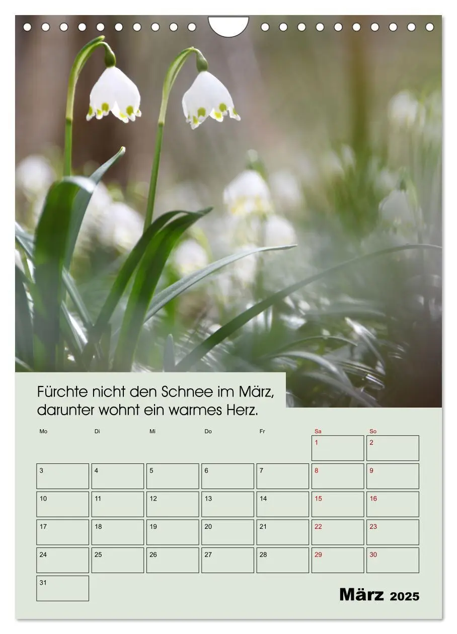 Bild: 9783435983438 | Wetter-Regeln der Bauern (Wandkalender 2025 DIN A4 hoch), CALVENDO...