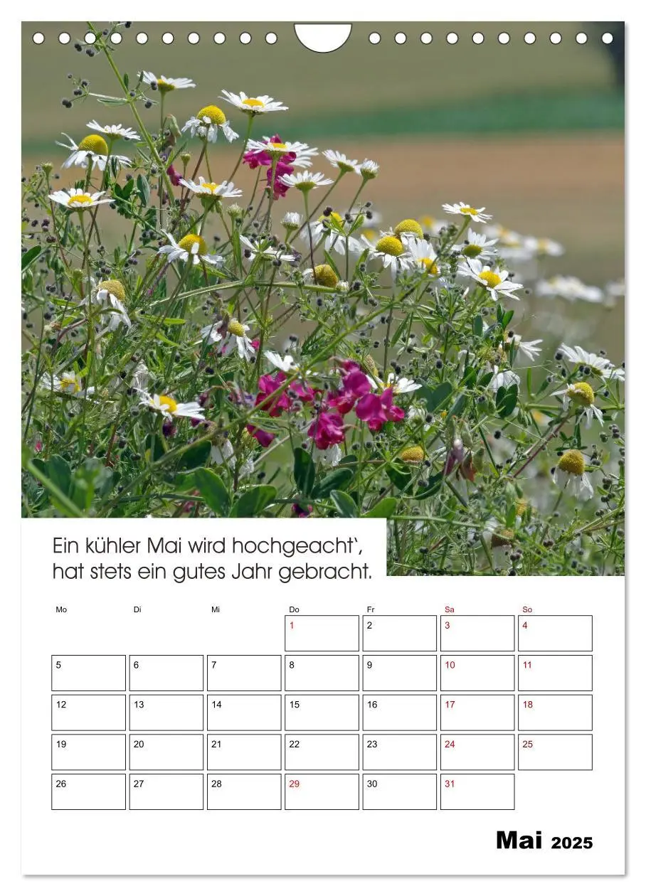 Bild: 9783435983438 | Wetter-Regeln der Bauern (Wandkalender 2025 DIN A4 hoch), CALVENDO...
