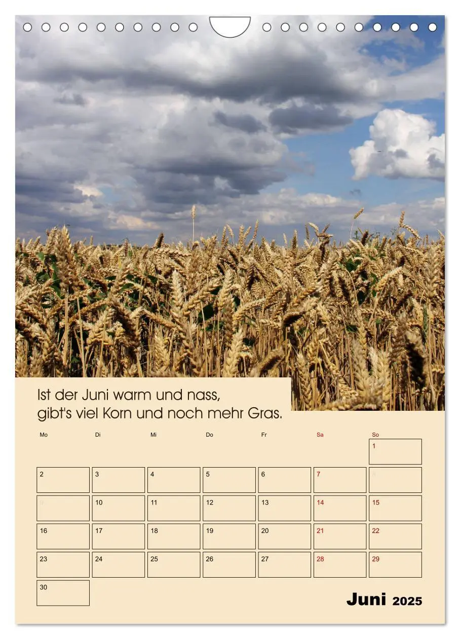 Bild: 9783435983438 | Wetter-Regeln der Bauern (Wandkalender 2025 DIN A4 hoch), CALVENDO...