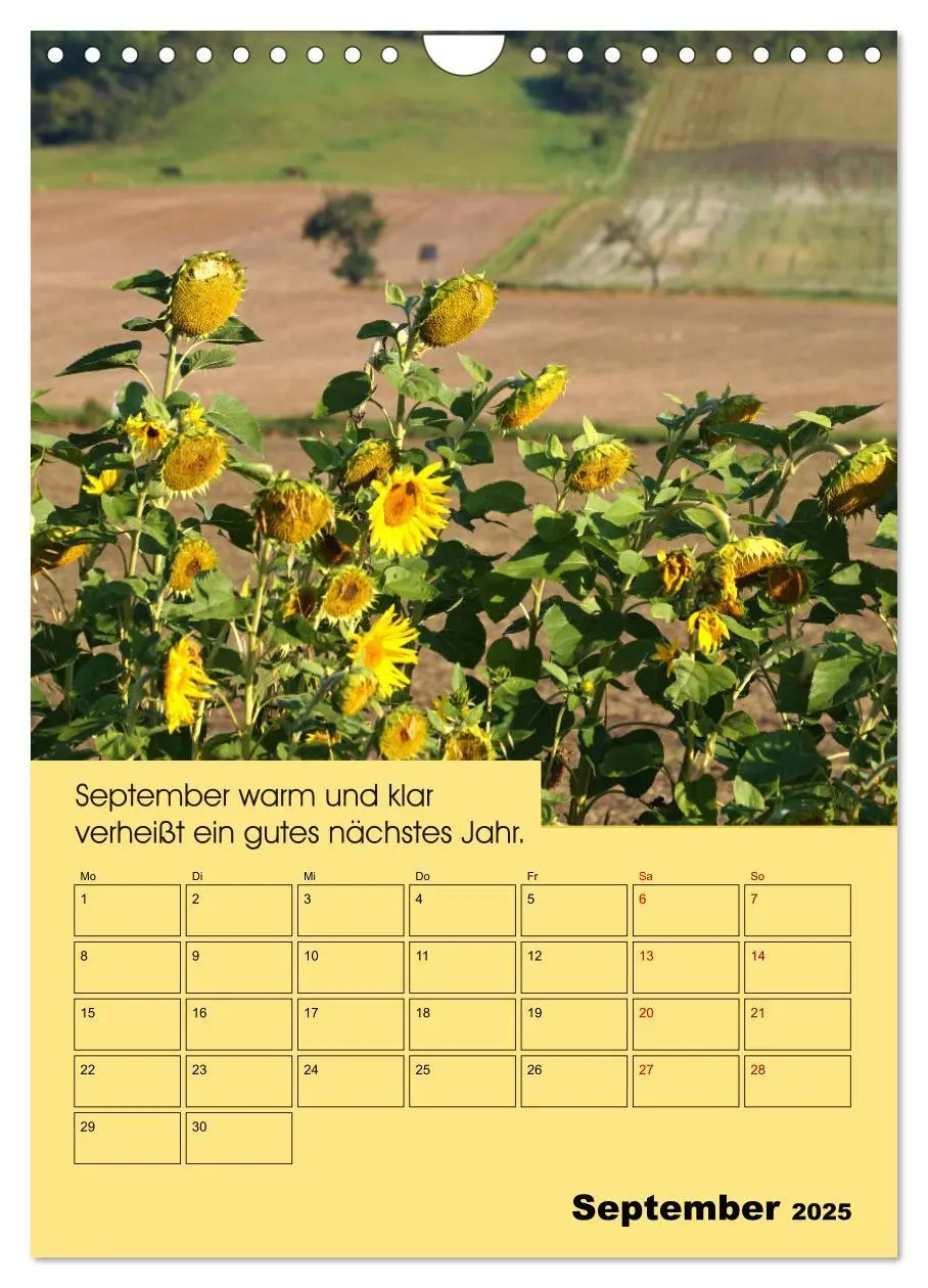 Bild: 9783435983438 | Wetter-Regeln der Bauern (Wandkalender 2025 DIN A4 hoch), CALVENDO...