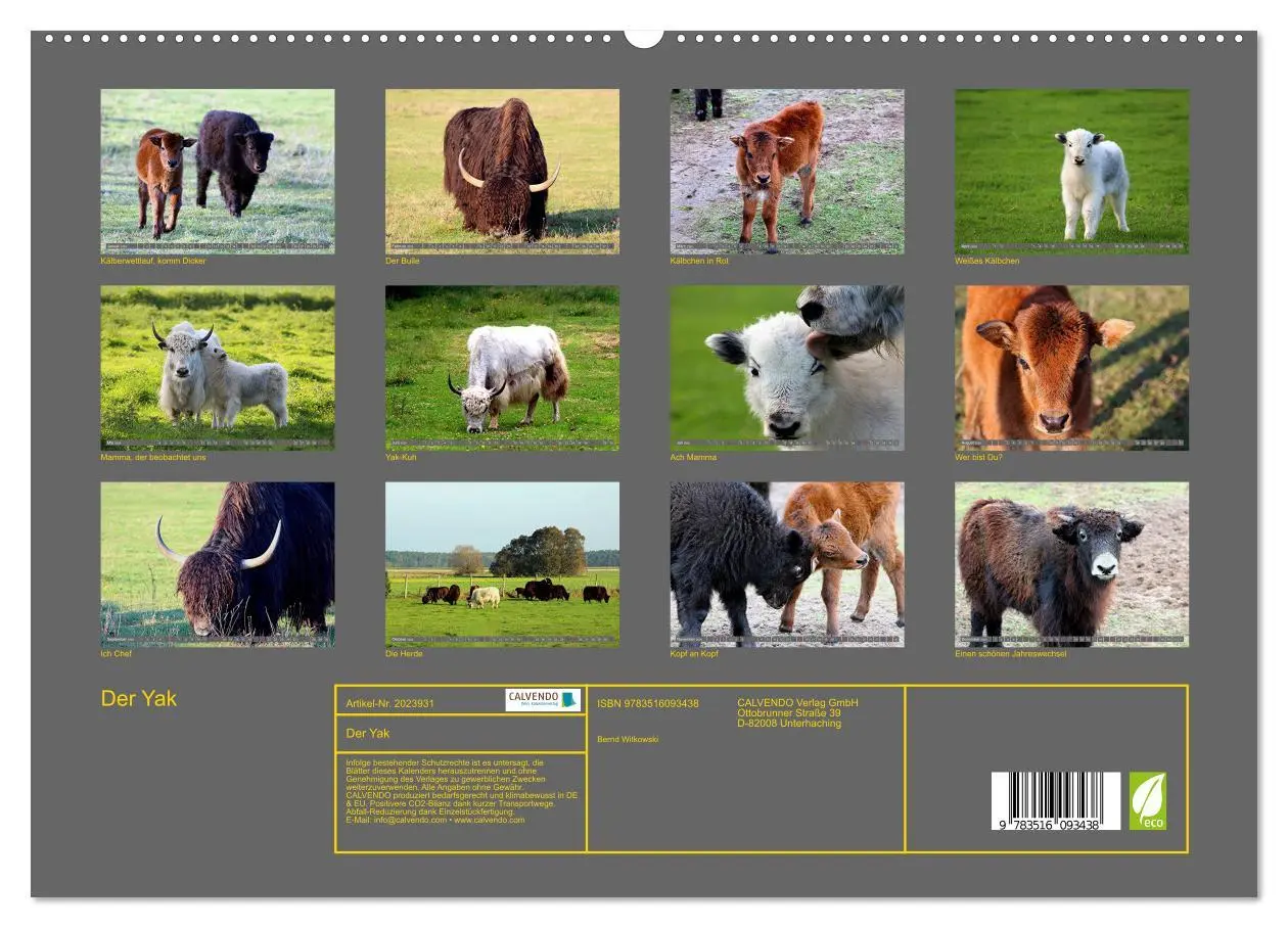 Bild: 9783516093438 | Der Yak (hochwertiger Premium Wandkalender 2026 DIN A2 quer),...