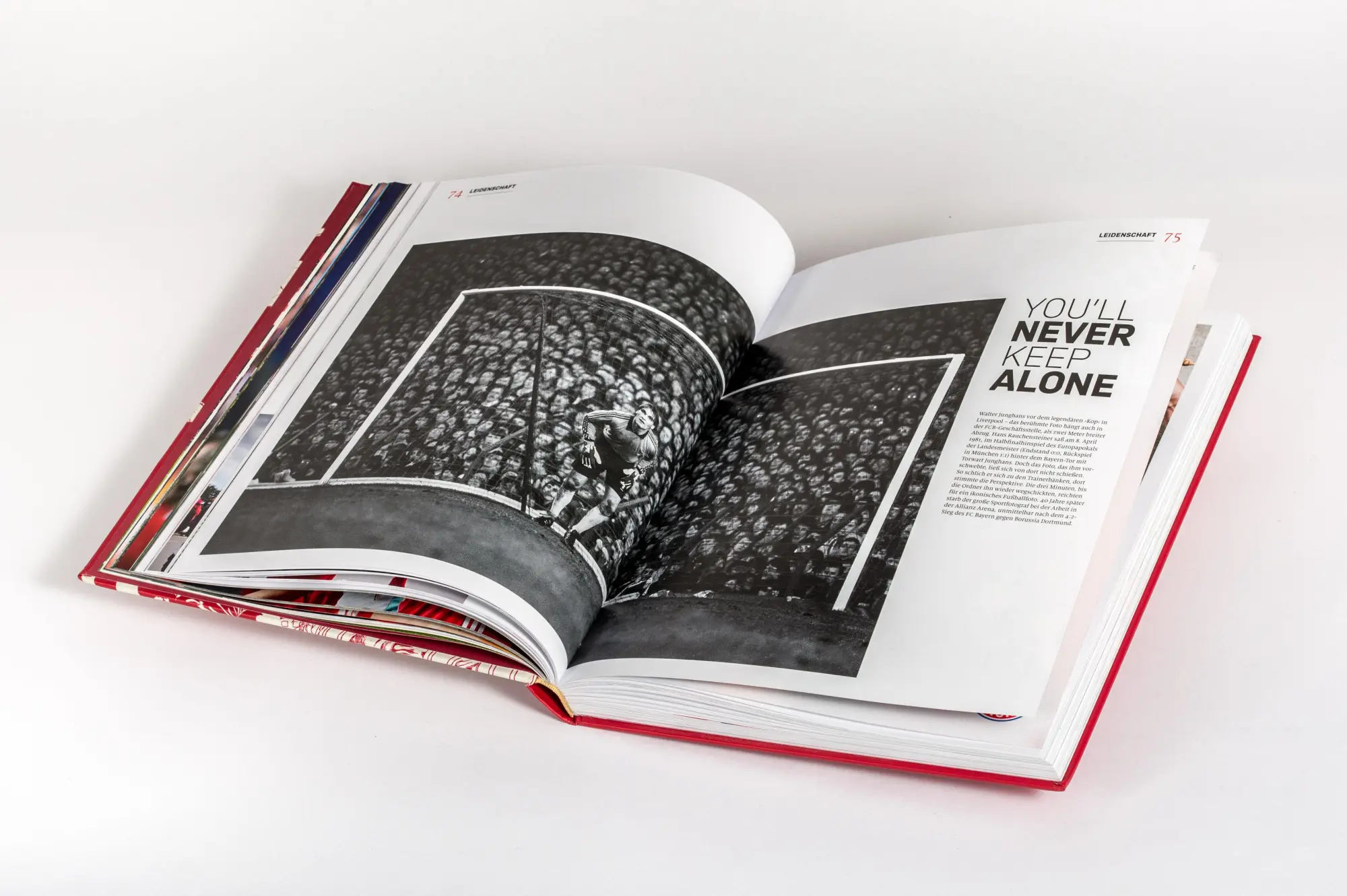 Bild: 9783791393438 | FC Bayern München: 125 Jahre Mia San Mia | Christian Eichler | Buch
