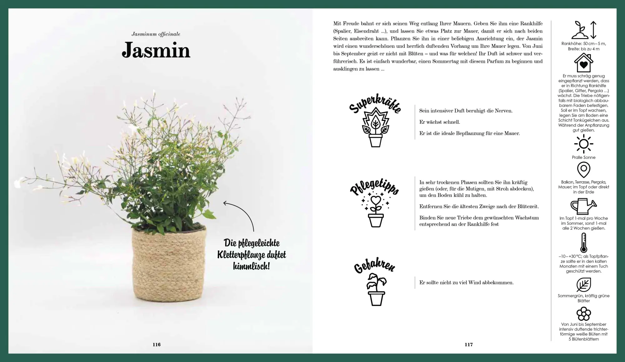 Bild: 9783809443438 | Unverwüstliche Zimmer- und Balkonpflanzen | Mathilde Lelièvre | Buch
