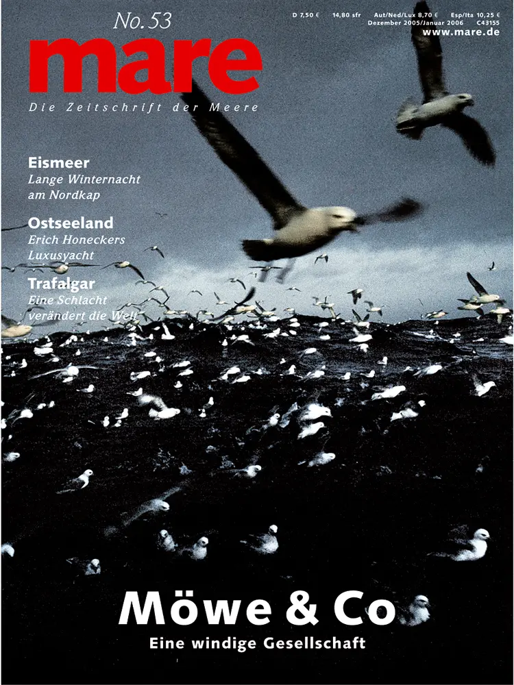 Cover: 9783936543438 | mare - Die Zeitschrift der Meere / No. 53 / Möwe &amp; Co | Gelpke | Buch