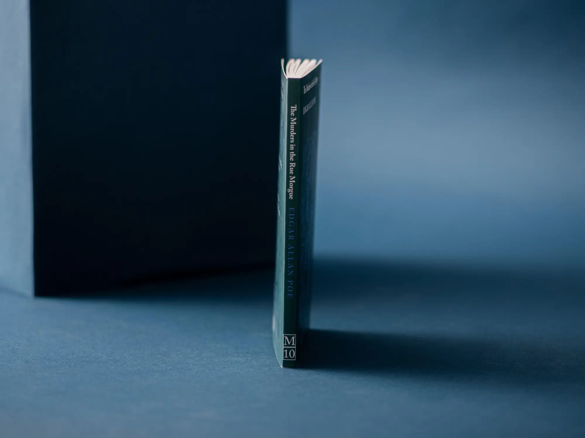 Bild: 9781037403538 | The Murders in the Rue Morgue | Edgar Allan Poe | Taschenbuch | 96 S.