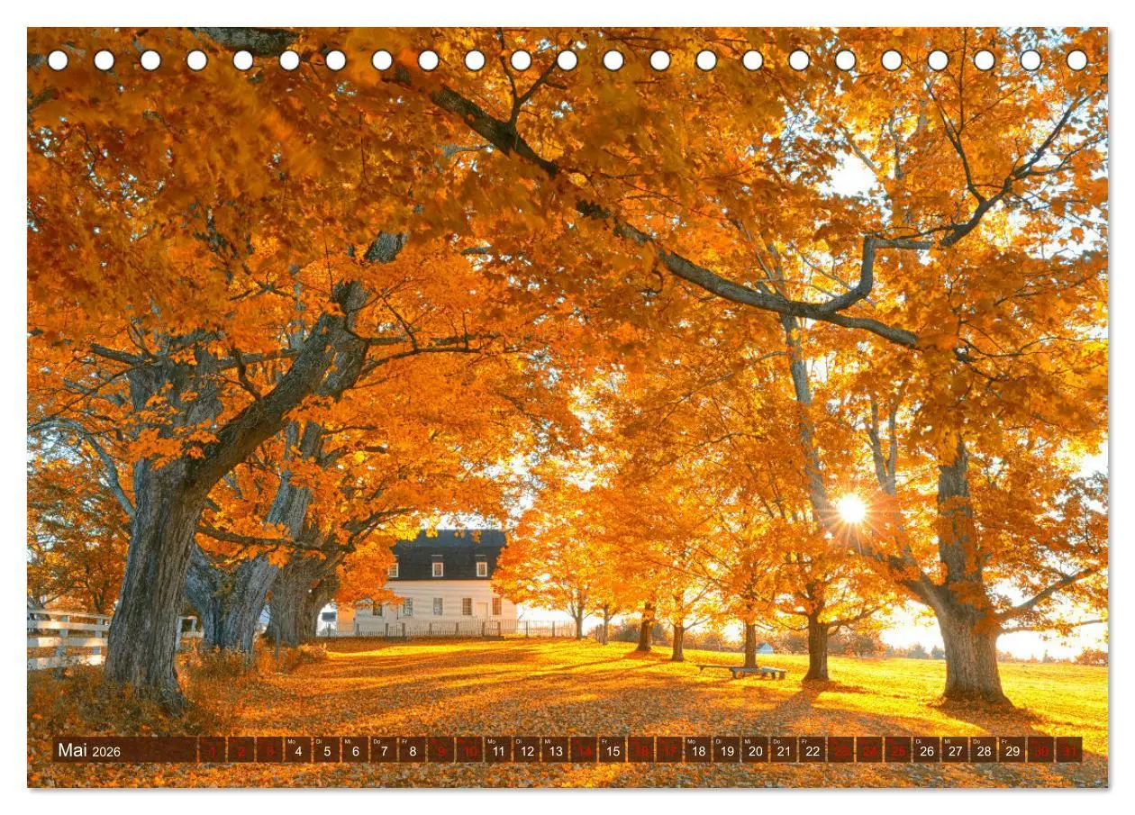 Bild: 9783457373538 | Neu England, Indian Summer (Tischkalender 2026 DIN A5 quer),...