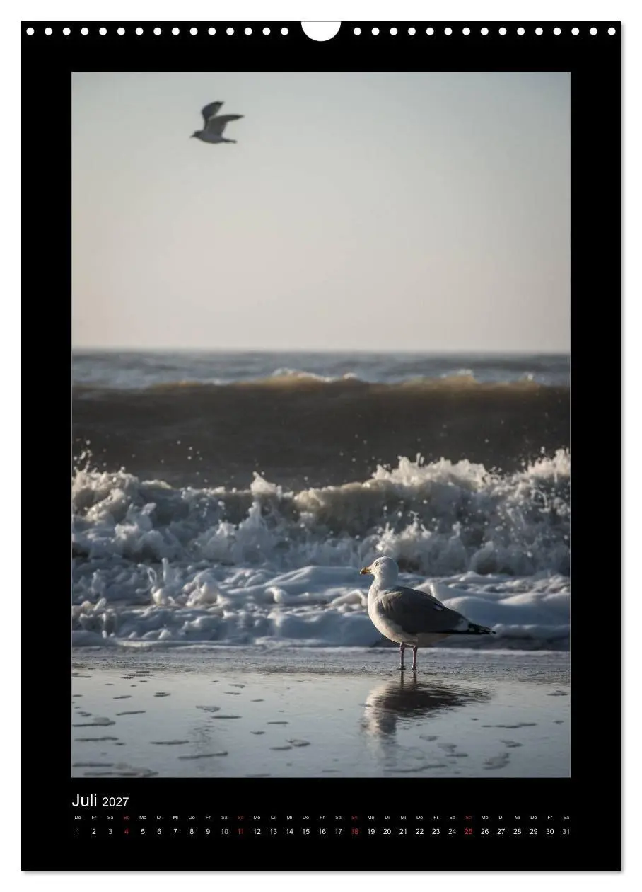 Bild: 9783594133538 | Geheimnisvolles Sylt 2027 (Wandkalender 2027 DIN A3 hoch), CALVENDO...