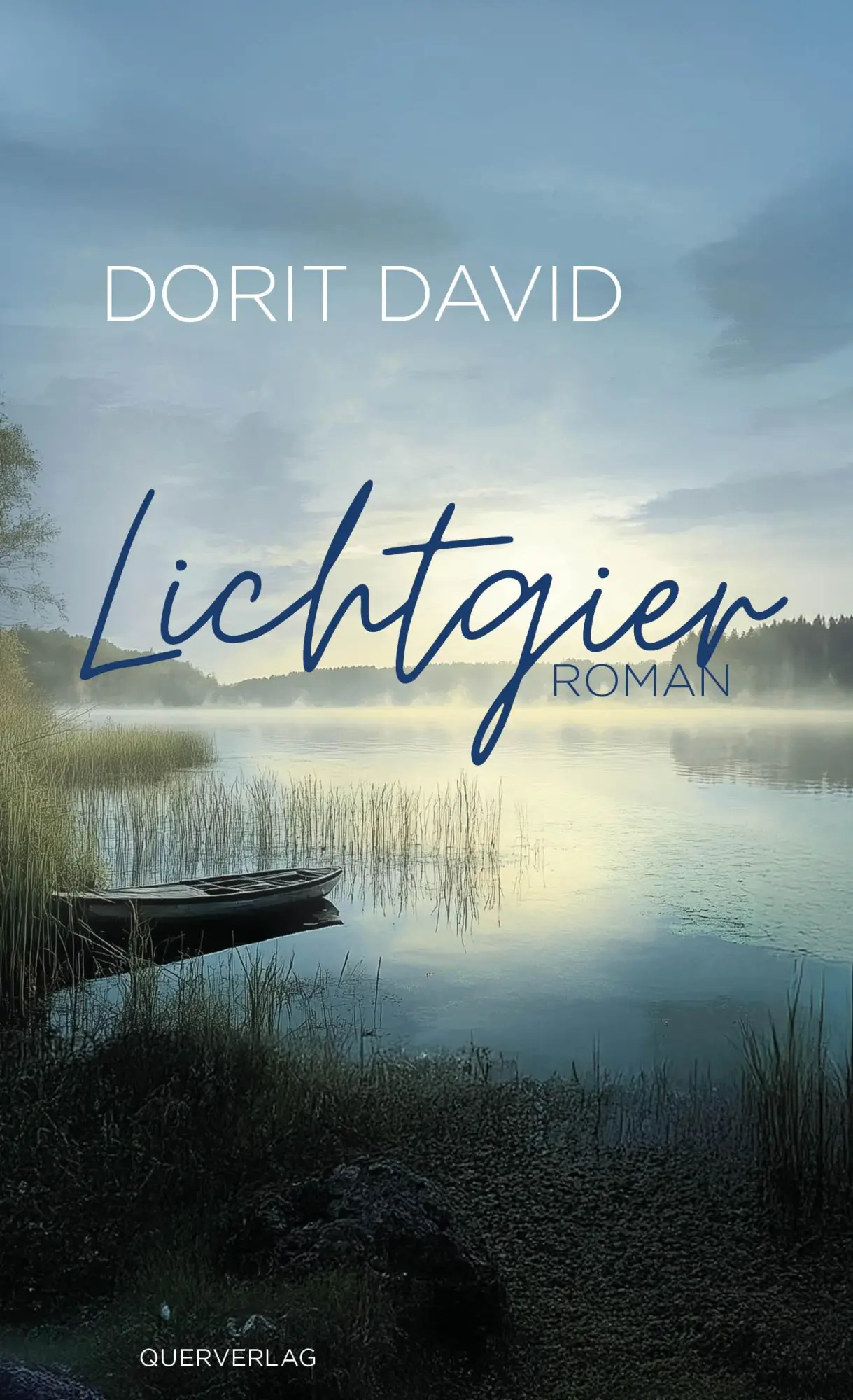 Cover: 9783896563538 | Lichtgier | Roman | Dorit David | Taschenbuch | 306 S. | Deutsch