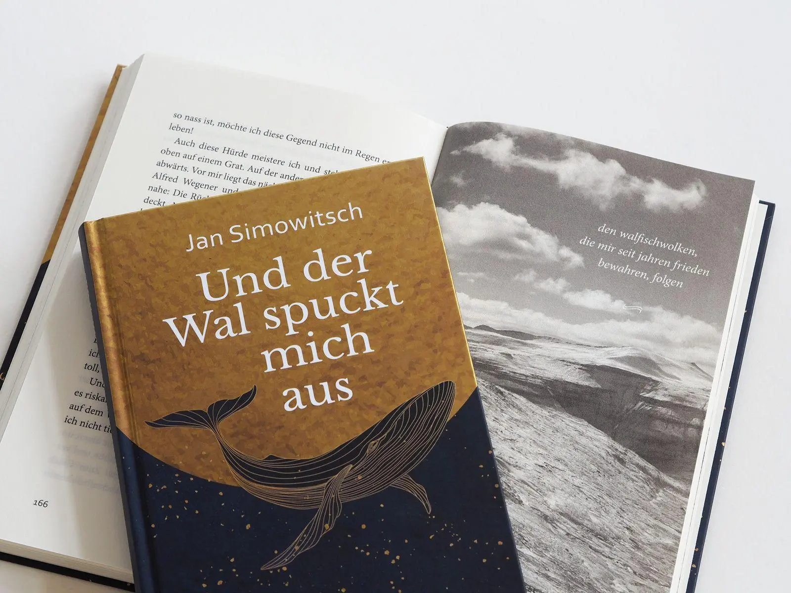 Bild: 9783963403538 | Und der Wal spuckt mich aus | Jan Simowitsch | Buch | 192 S. | Deutsch