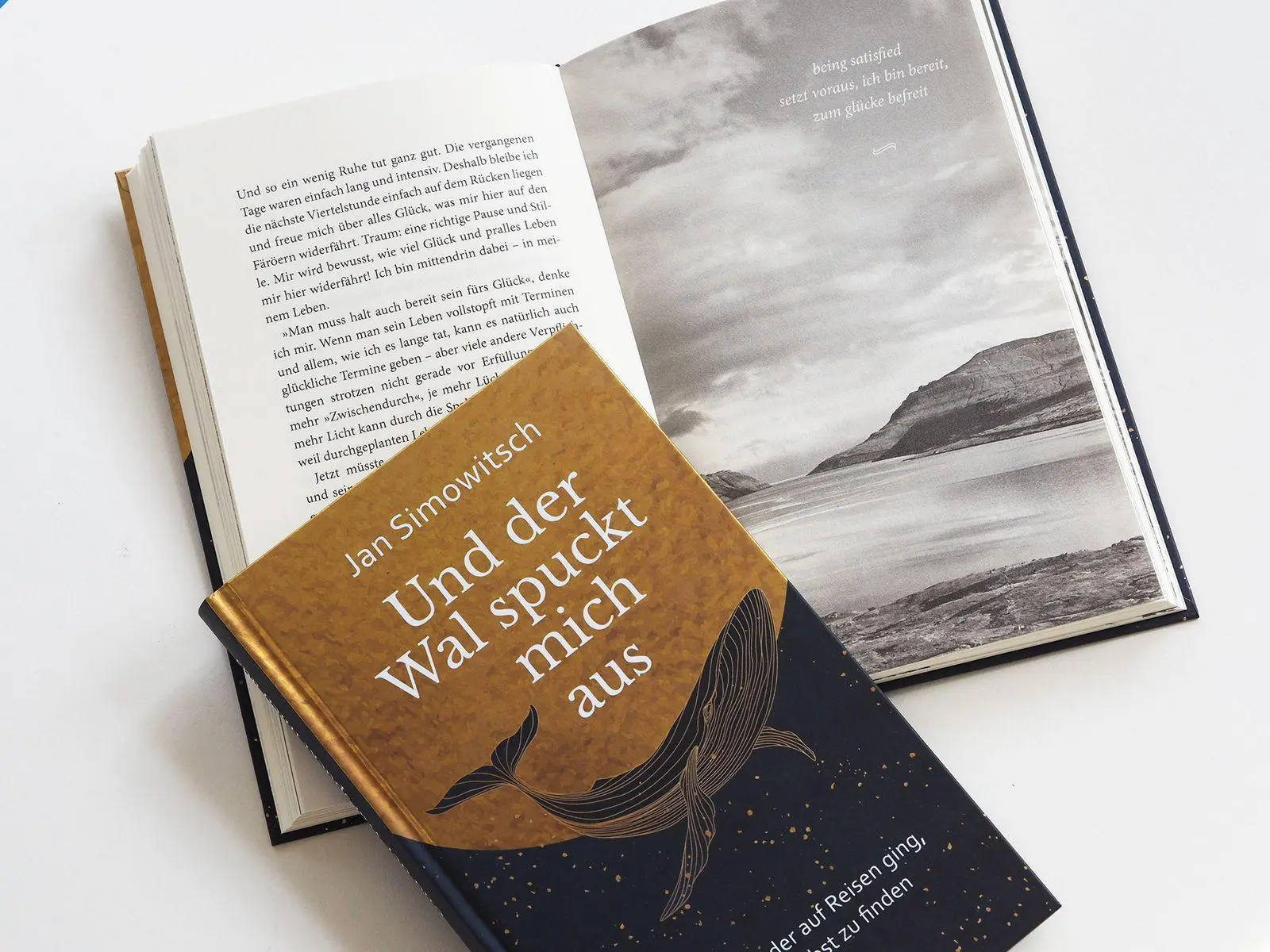 Bild: 9783963403538 | Und der Wal spuckt mich aus | Jan Simowitsch | Buch | 192 S. | Deutsch