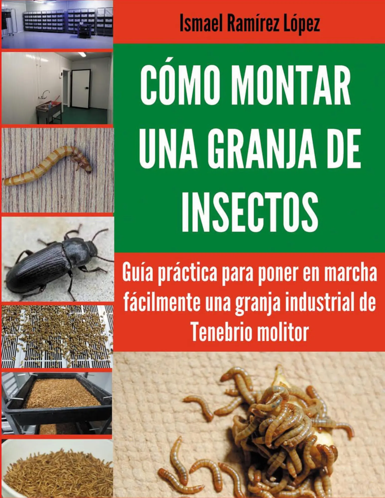 Cover: 9788411233538 | Cómo montar una granja de insectos | Ismael Ramírez | Taschenbuch