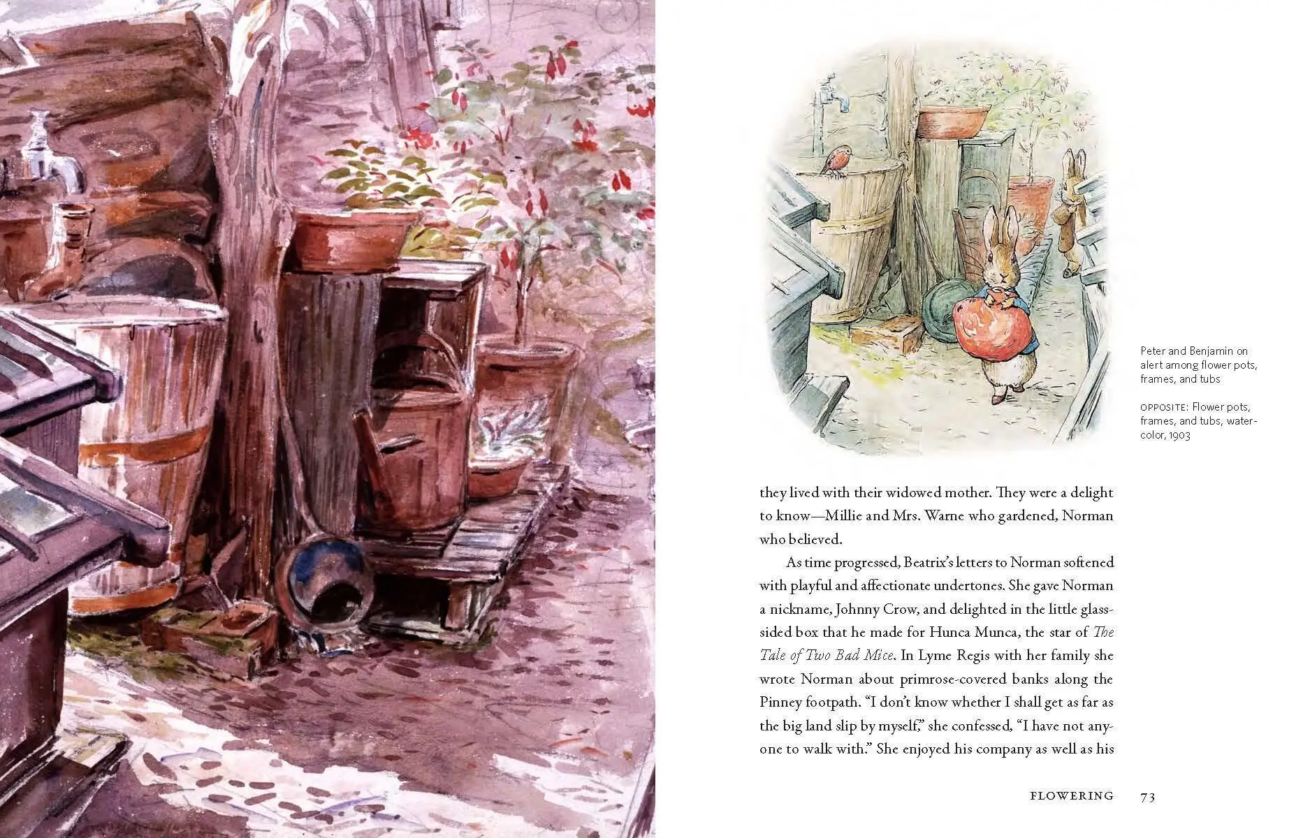 Bild: 9781604693638 | Beatrix Potter's Gardening Life | Marta Mcdowell | Buch | Gebunden