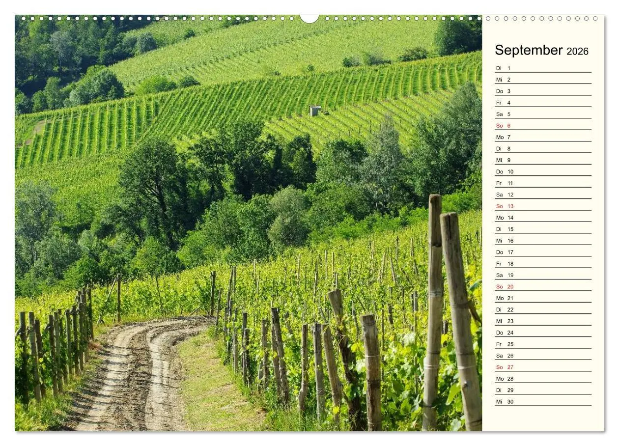 Bild: 9783457983638 | Die Langhe - Im Herzen des Piemonts (hochwertiger Premium...