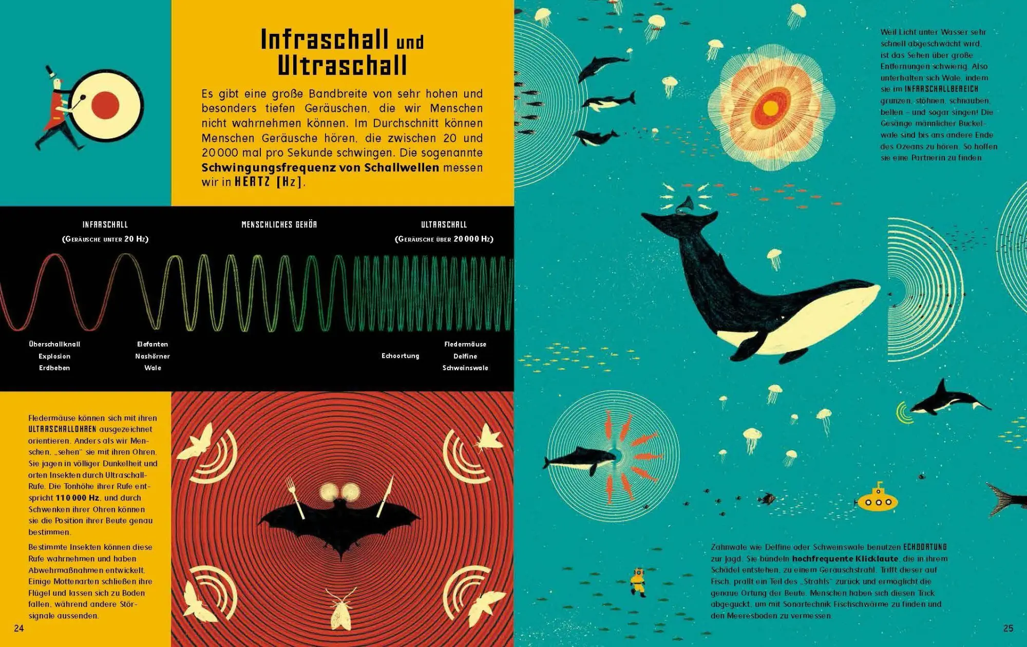 Bild: 9783791373638 | Wie schnell ist das Licht? | Eine Reise in die Welt der Physik | Buch