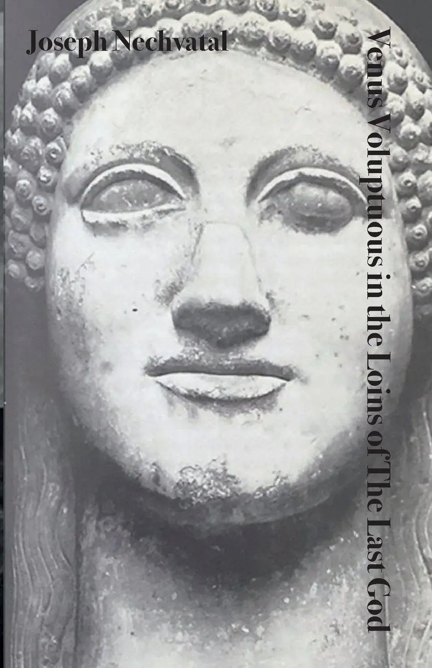 Cover: 9781068863738 | Venus Voluptuous in the Loins of The Last God | Joseph Nechvatal