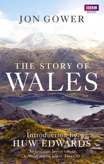 Cover: 9781849903738 | The Story of Wales | Jon Gower | Taschenbuch | Kartoniert / Broschiert