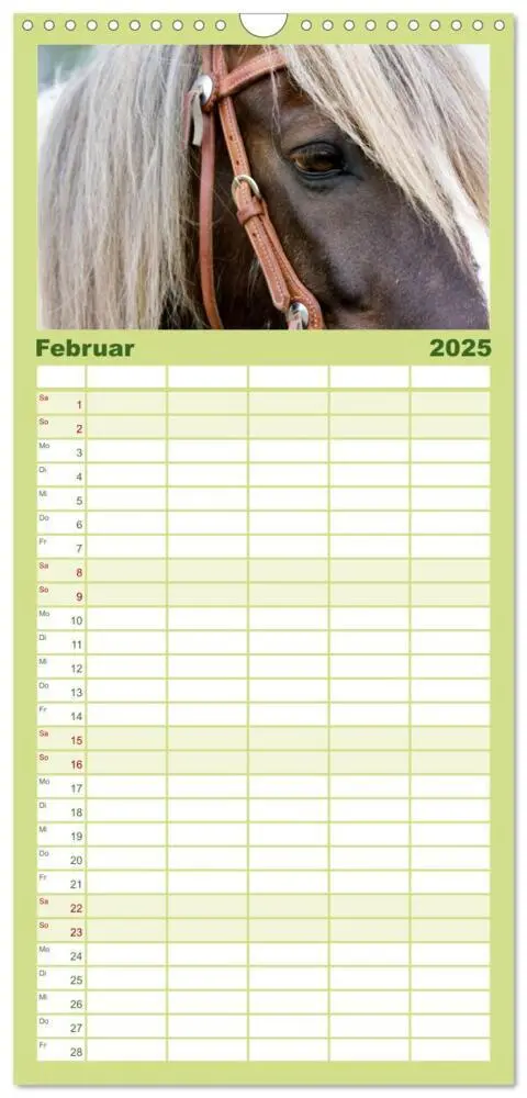 Bild: 9783457113738 | Familienplaner 2025 - Irish Tinker mit 5 Spalten (Wandkalender, 21...