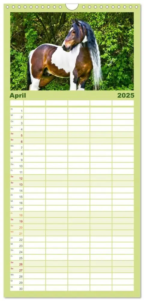 Bild: 9783457113738 | Familienplaner 2025 - Irish Tinker mit 5 Spalten (Wandkalender, 21...