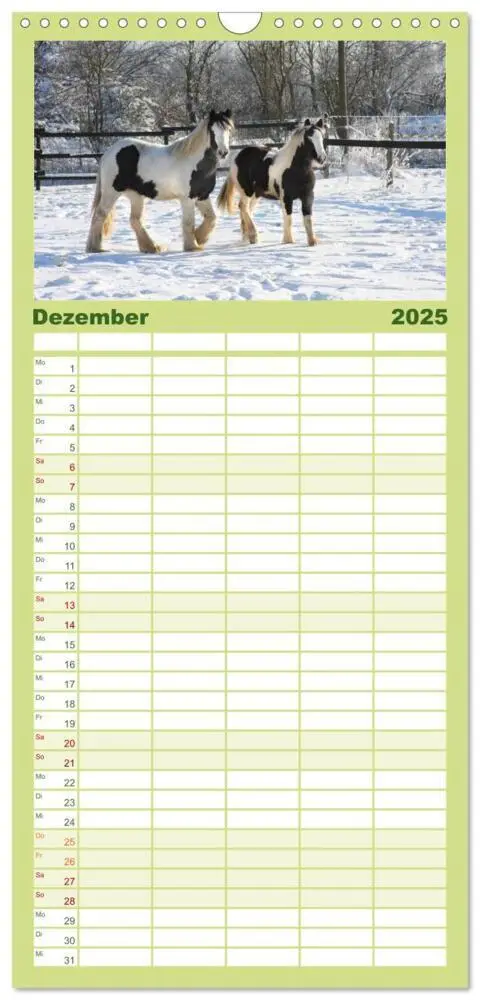Bild: 9783457113738 | Familienplaner 2025 - Irish Tinker mit 5 Spalten (Wandkalender, 21...