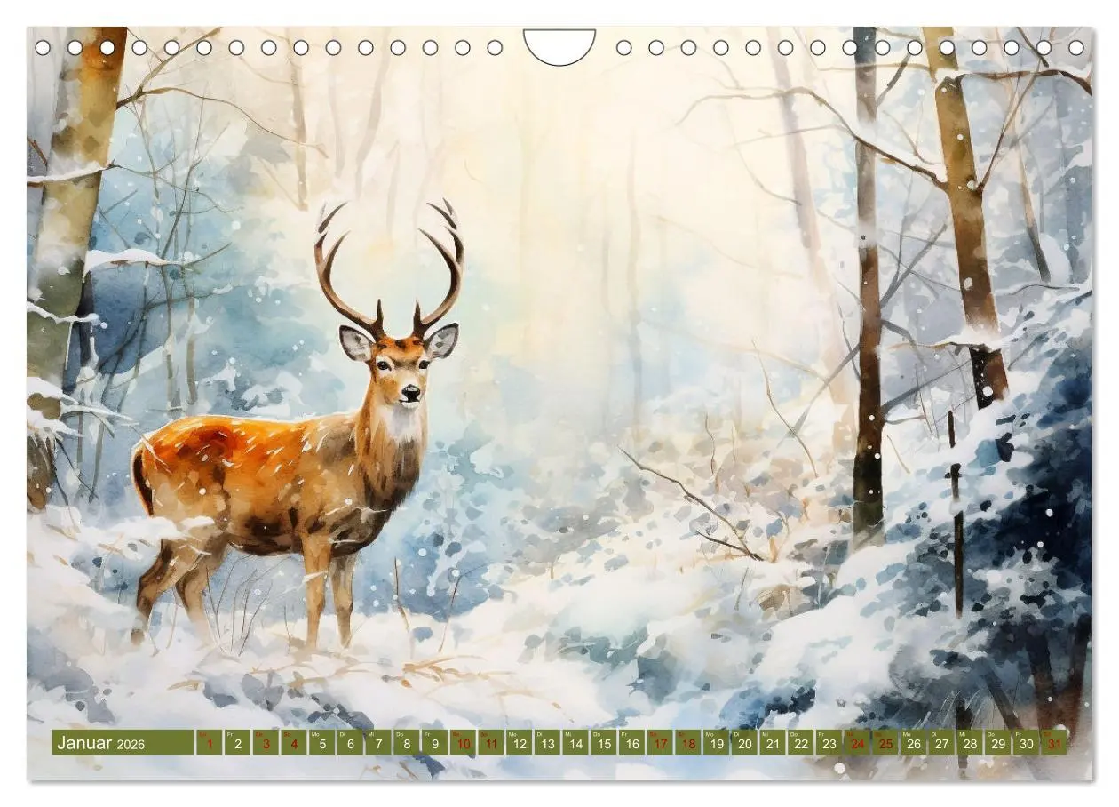 Bild: 9783457353738 | Zwölf Monate im Wald (Wandkalender 2026 DIN A4 quer), CALVENDO...