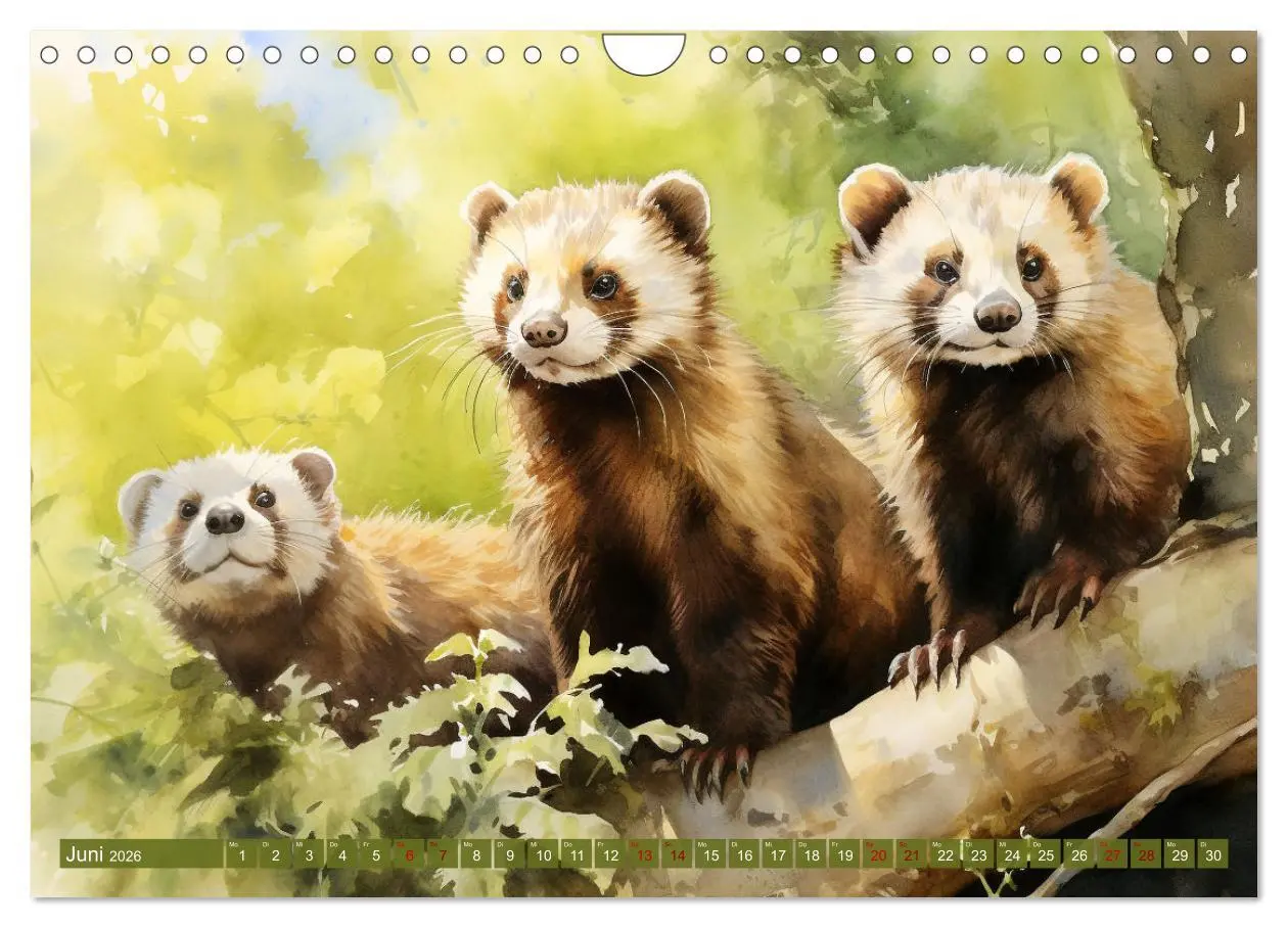 Bild: 9783457353738 | Zwölf Monate im Wald (Wandkalender 2026 DIN A4 quer), CALVENDO...