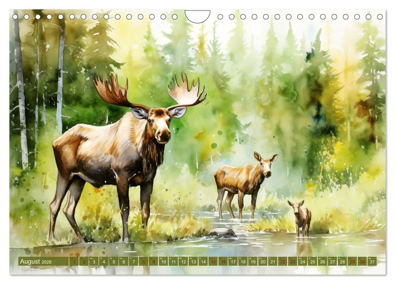 Bild: 9783457353738 | Zwölf Monate im Wald (Wandkalender 2026 DIN A4 quer), CALVENDO...