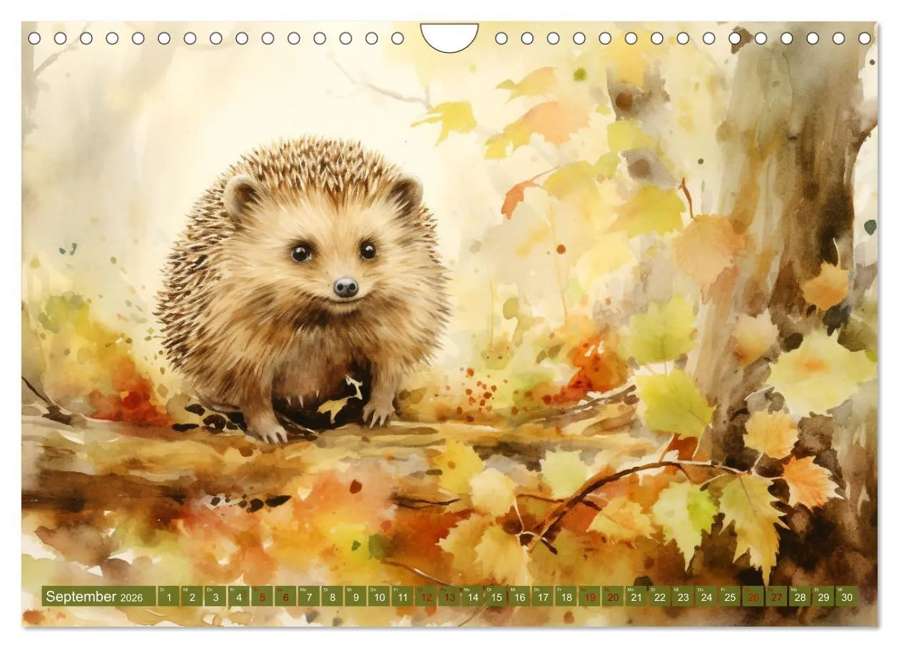 Bild: 9783457353738 | Zwölf Monate im Wald (Wandkalender 2026 DIN A4 quer), CALVENDO...
