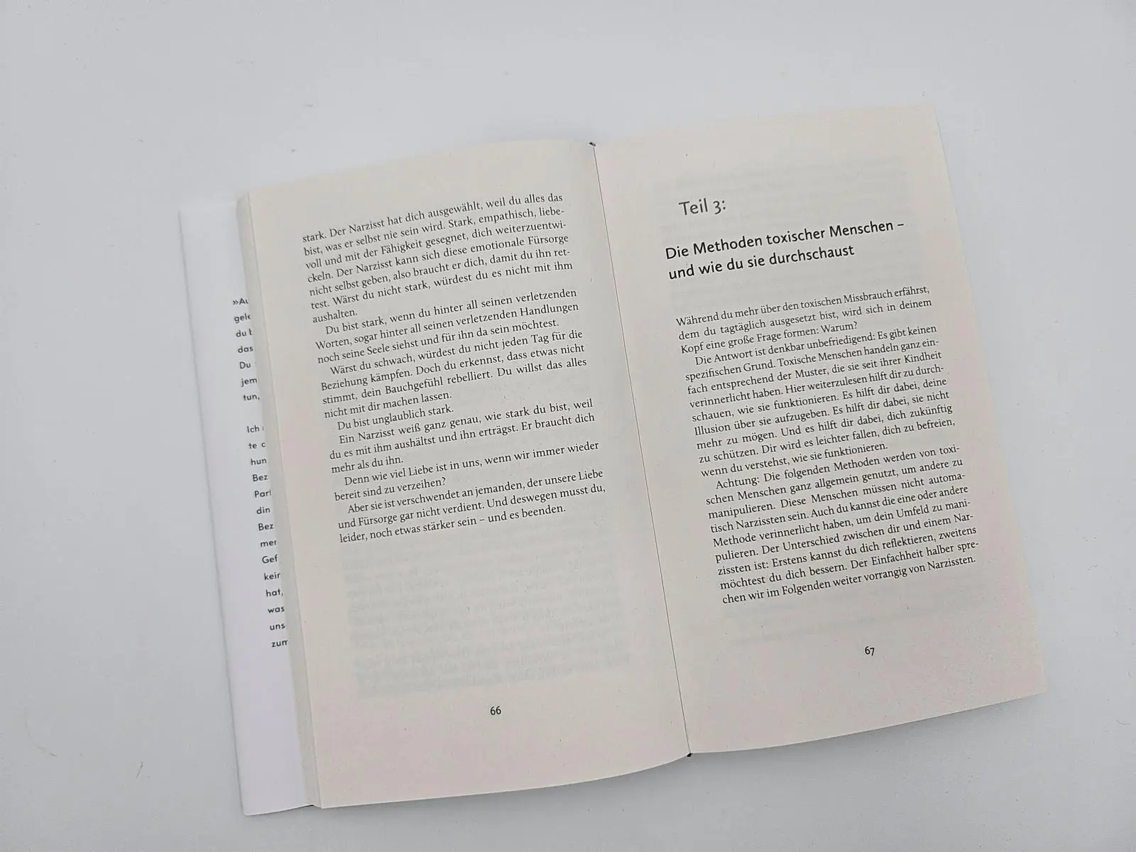 Bild: 9783492073738 | Toxic | Jane S. Wonda | Buch | 272 S. | Deutsch | 2025
