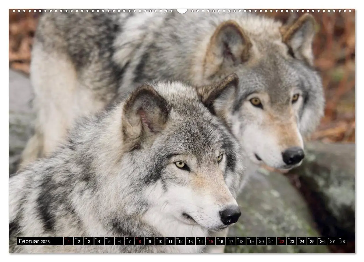 Bild: 9783516133738 | Kanada - Das Paradies für Entdecker (Wandkalender 2026 DIN A2...