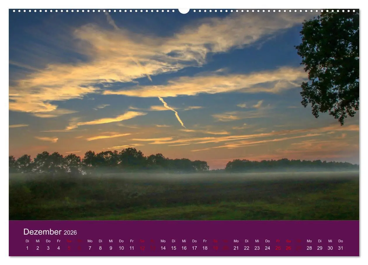 Bild: 9783457893838 | Die Heide blüht (Wandkalender 2026 DIN A2 quer), CALVENDO...