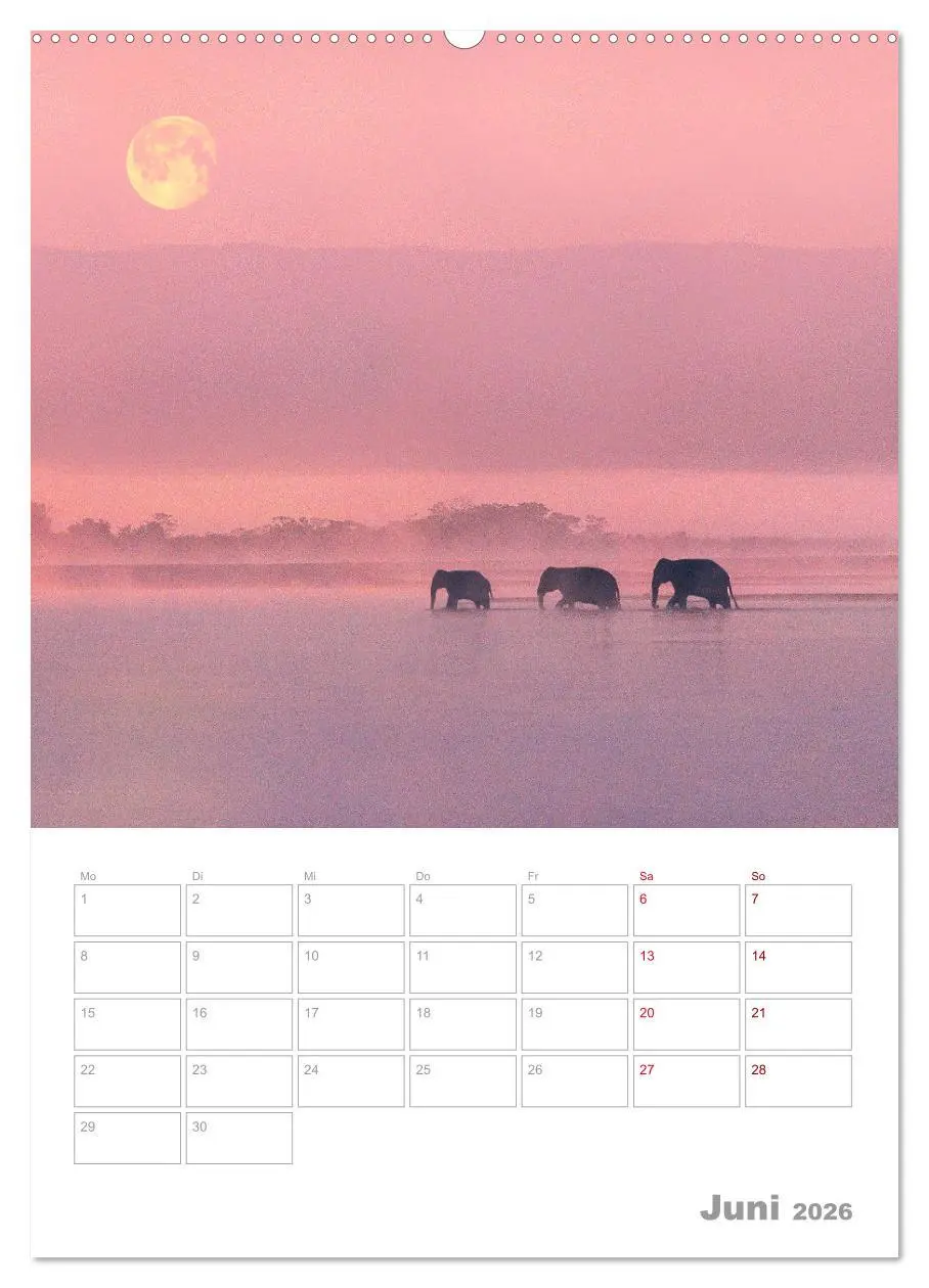 Bild: 9783516363838 | VOLLMOND-Planer - Im Licht der Nacht (Wandkalender 2026 DIN A2...