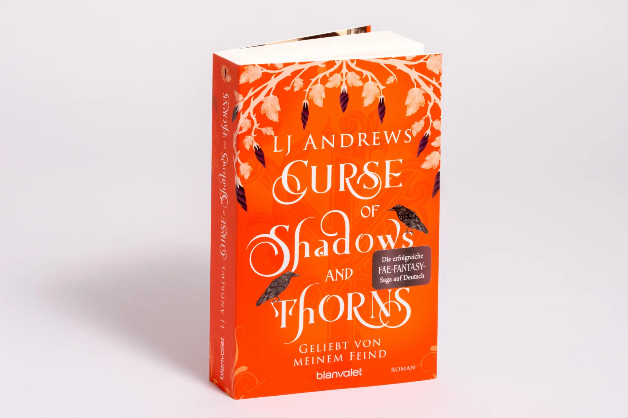 Bild: 9783734163838 | Curse of Shadows and Thorns - Geliebt von meinem Feind | Lj Andrews