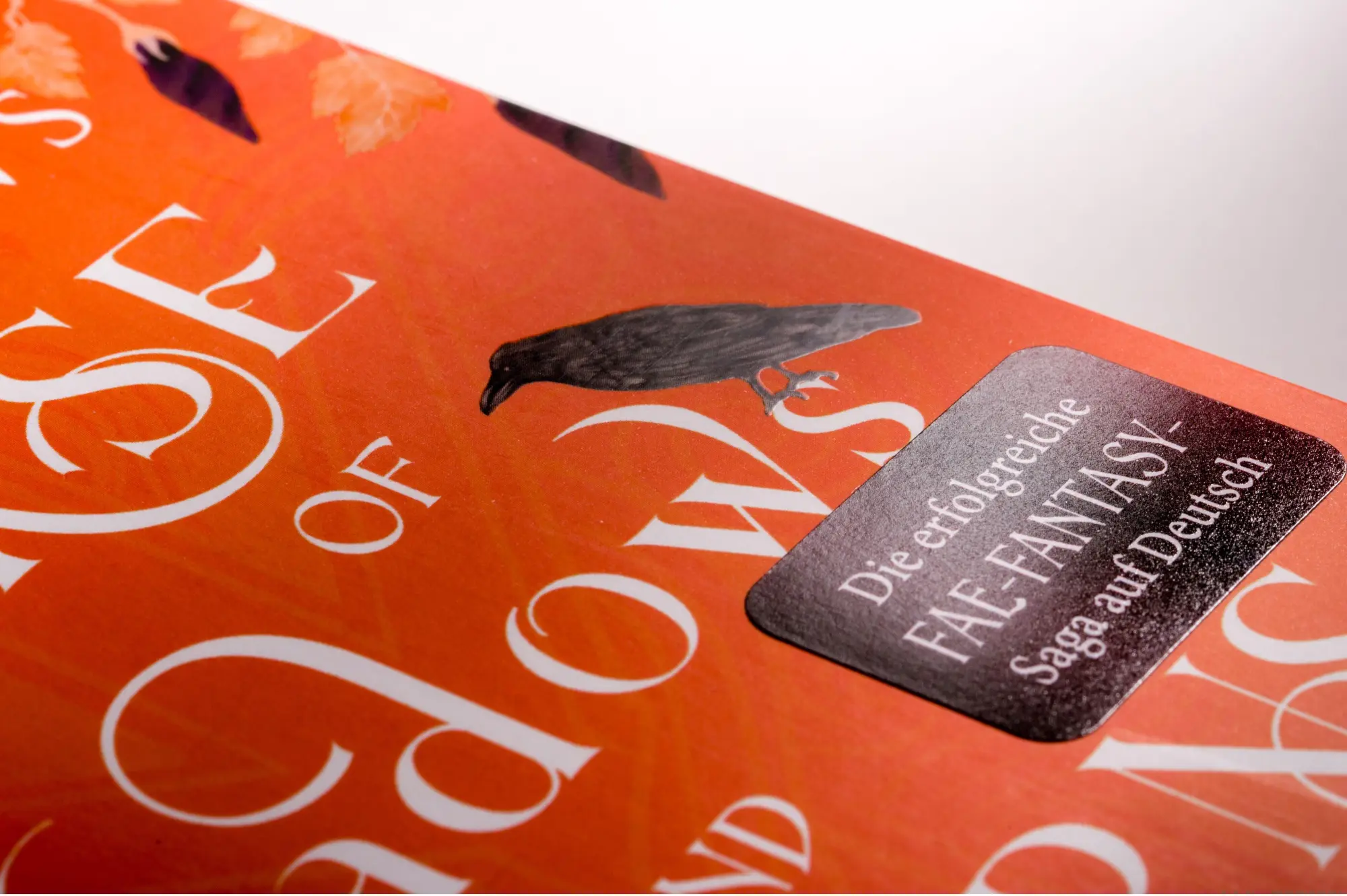 Bild: 9783734163838 | Curse of Shadows and Thorns - Geliebt von meinem Feind | Lj Andrews