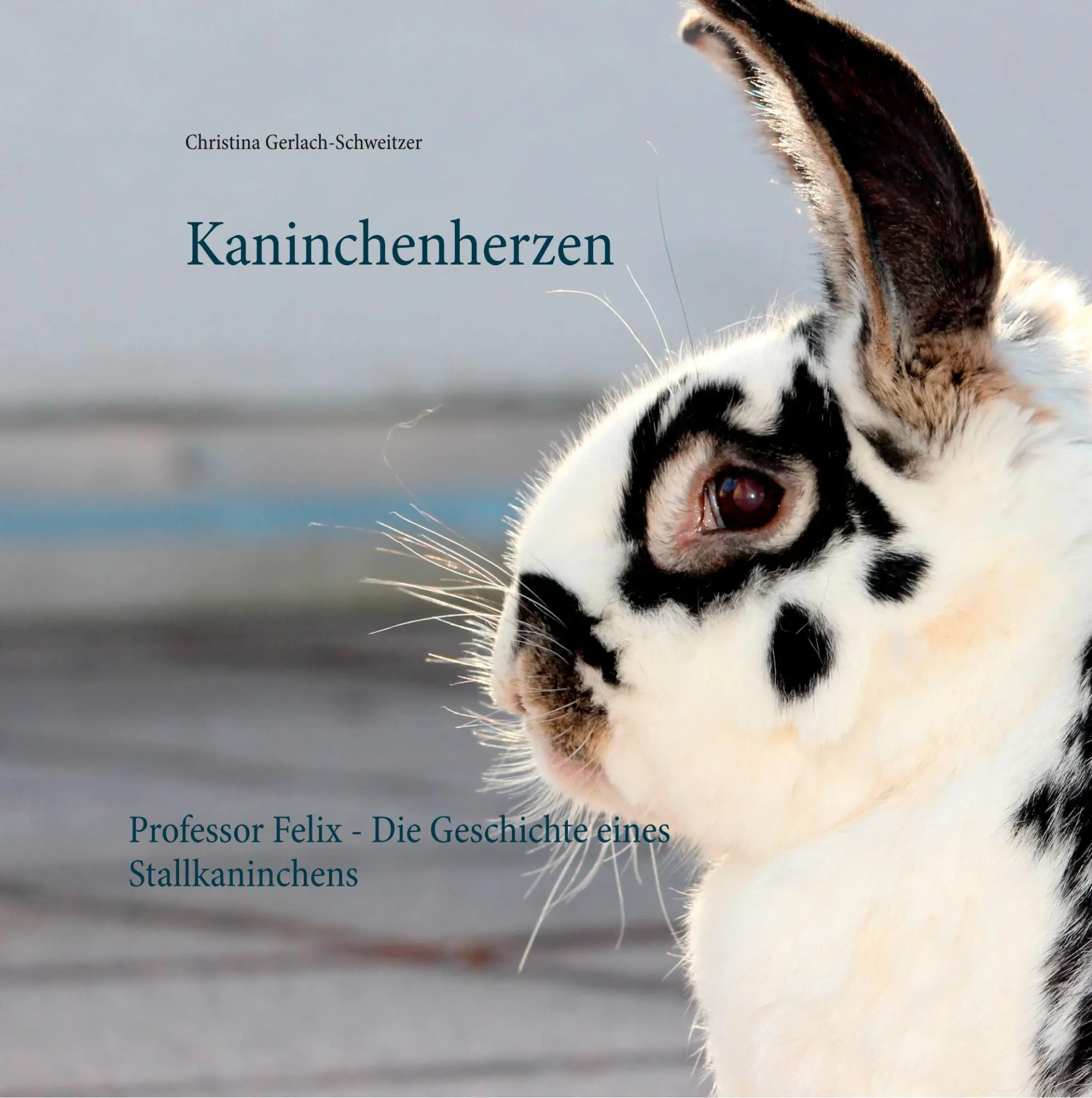 Cover: 9783746043838 | Kaninchenherzen | Christina Gerlach-Schweitzer | Buch | 100 S. | 2018