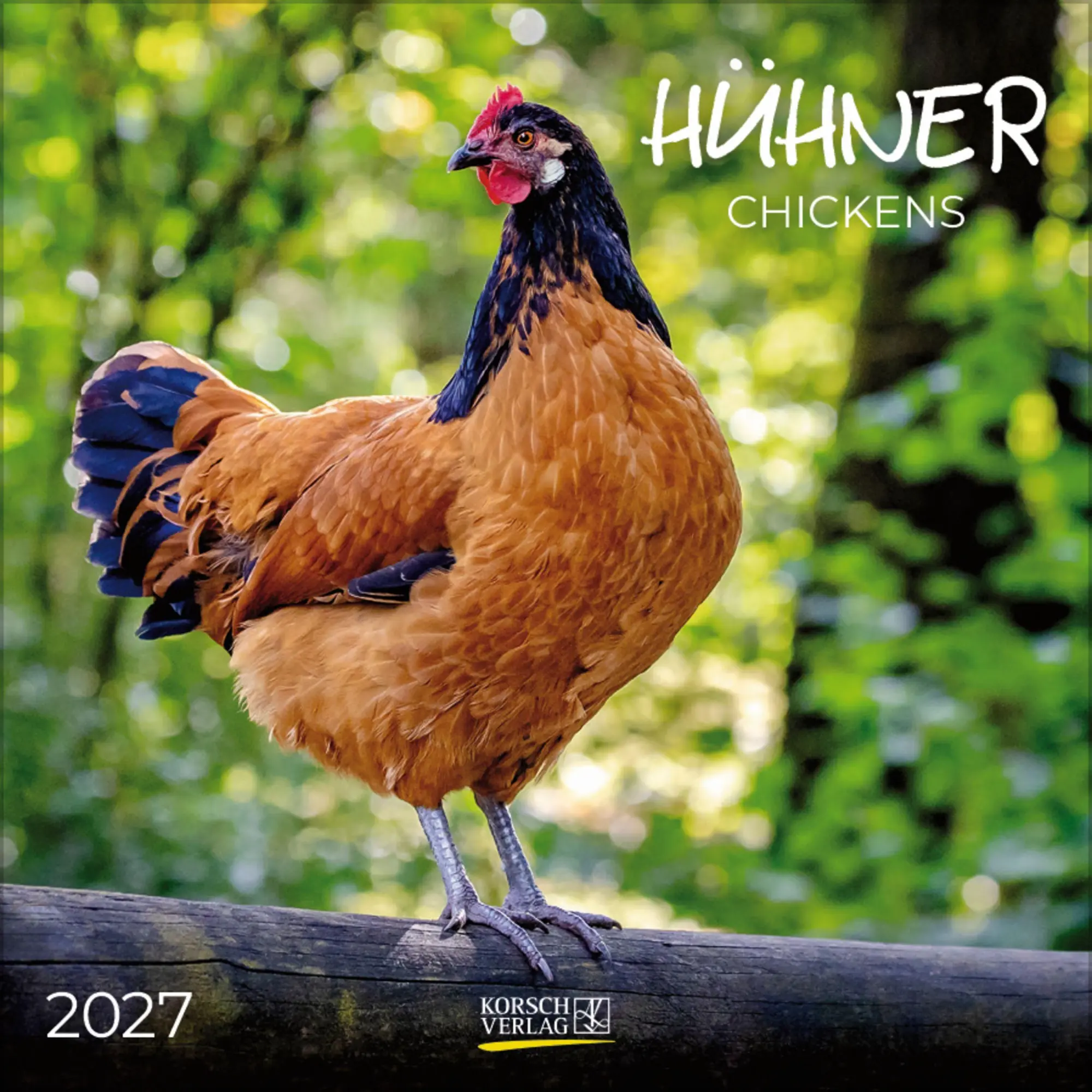 Cover: 9783819303838 | Hühner 2027 | Verlag Korsch | Kalender | 13 S. | Deutsch | 2027