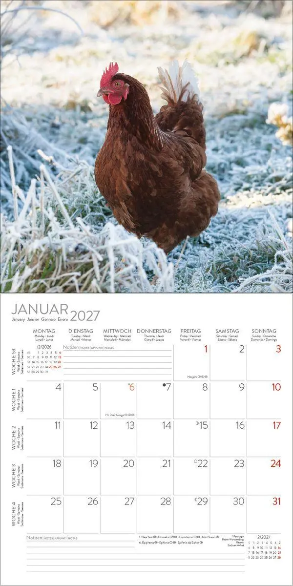 Bild: 9783819303838 | Hühner 2027 | Verlag Korsch | Kalender | 13 S. | Deutsch | 2027