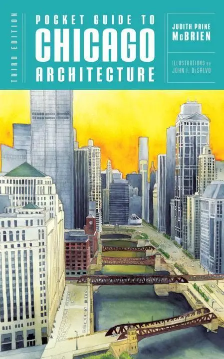 Cover: 9780393733938 | Pocket Guide to Chicago Architecture | Judith Paine Mcbrien | Buch