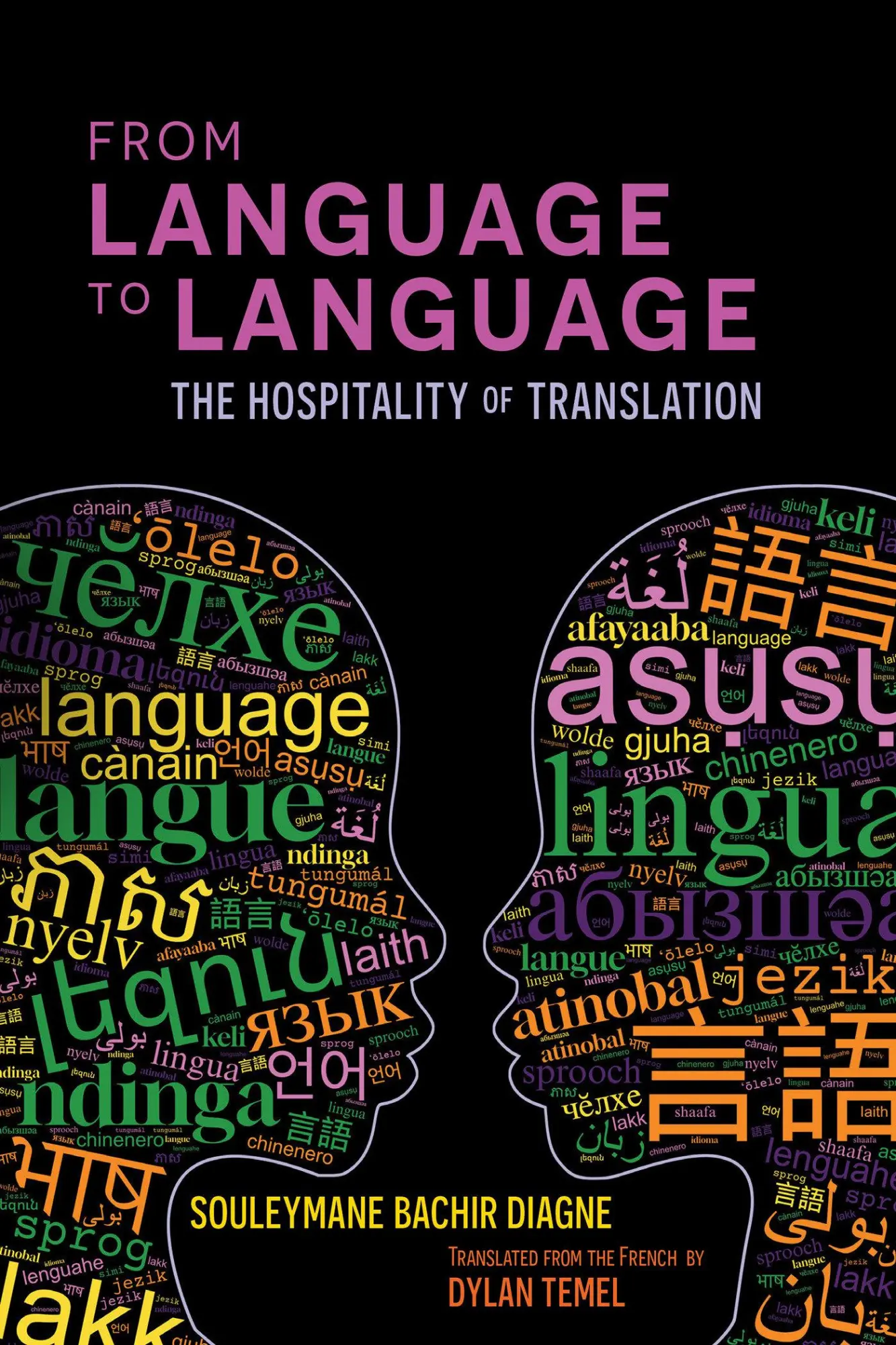 Cover: 9781635423938 | From Language to Language | The Hospitality of Translation | Diagne