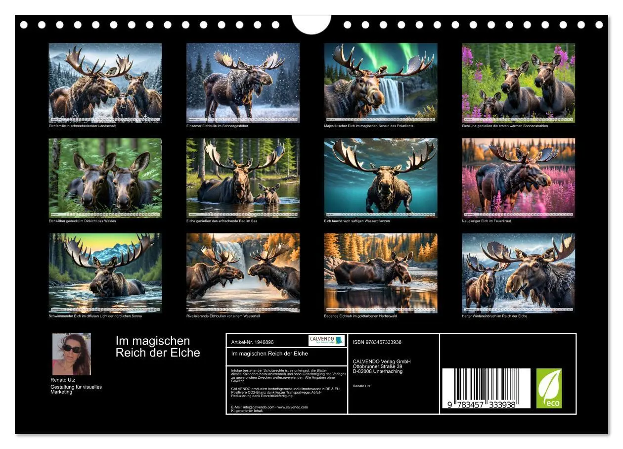 Bild: 9783457333938 | Im magischen Reich der Elche (Wandkalender 2026 DIN A4 quer),...