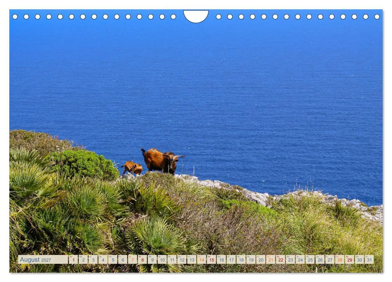 Bild: 9783569203938 | Tramuntana Trekking - Wandern auf Mallorca (Wandkalender 2027 DIN...