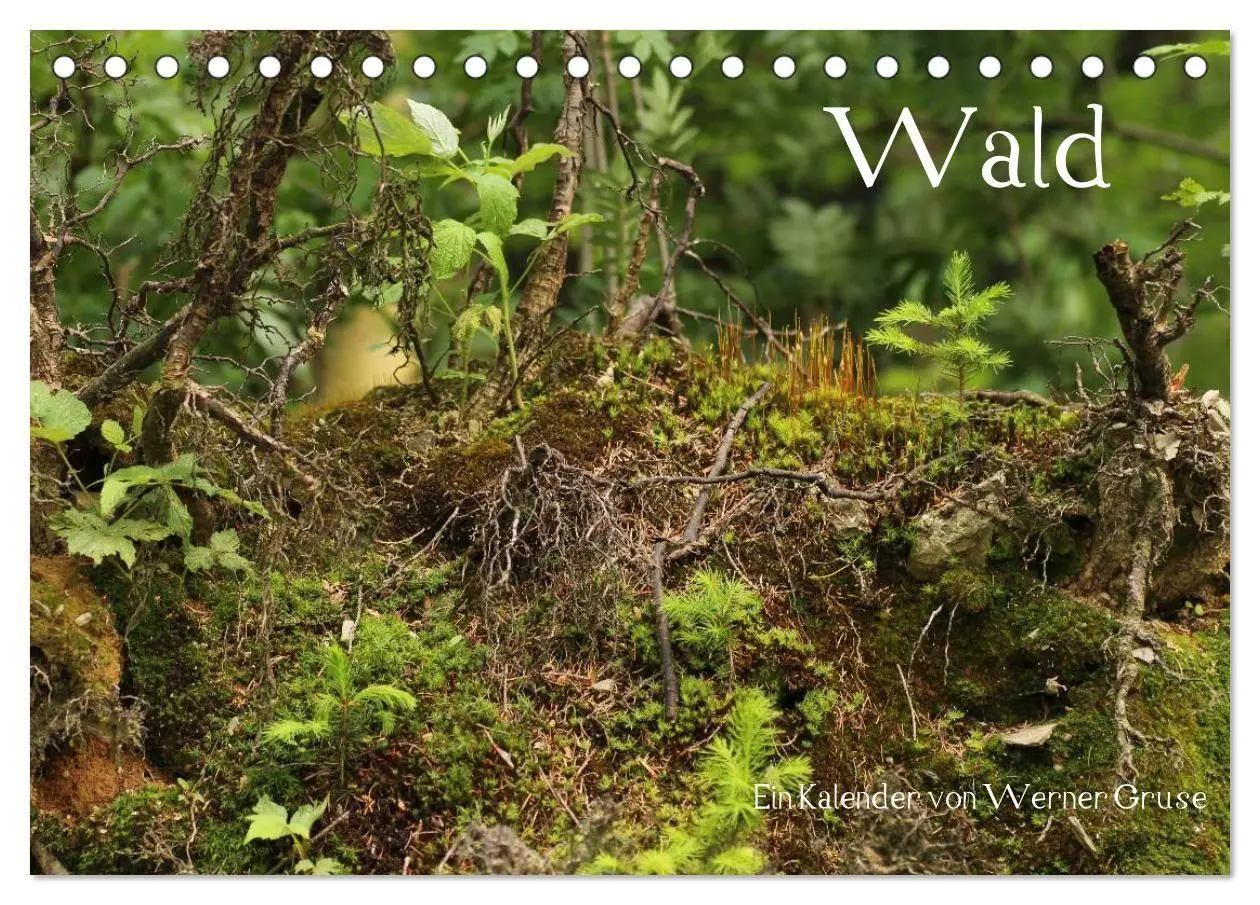 Cover: 9783594193938 | Wald (Tischkalender 2027 DIN A5 quer), CALVENDO Monatskalender | Gruse