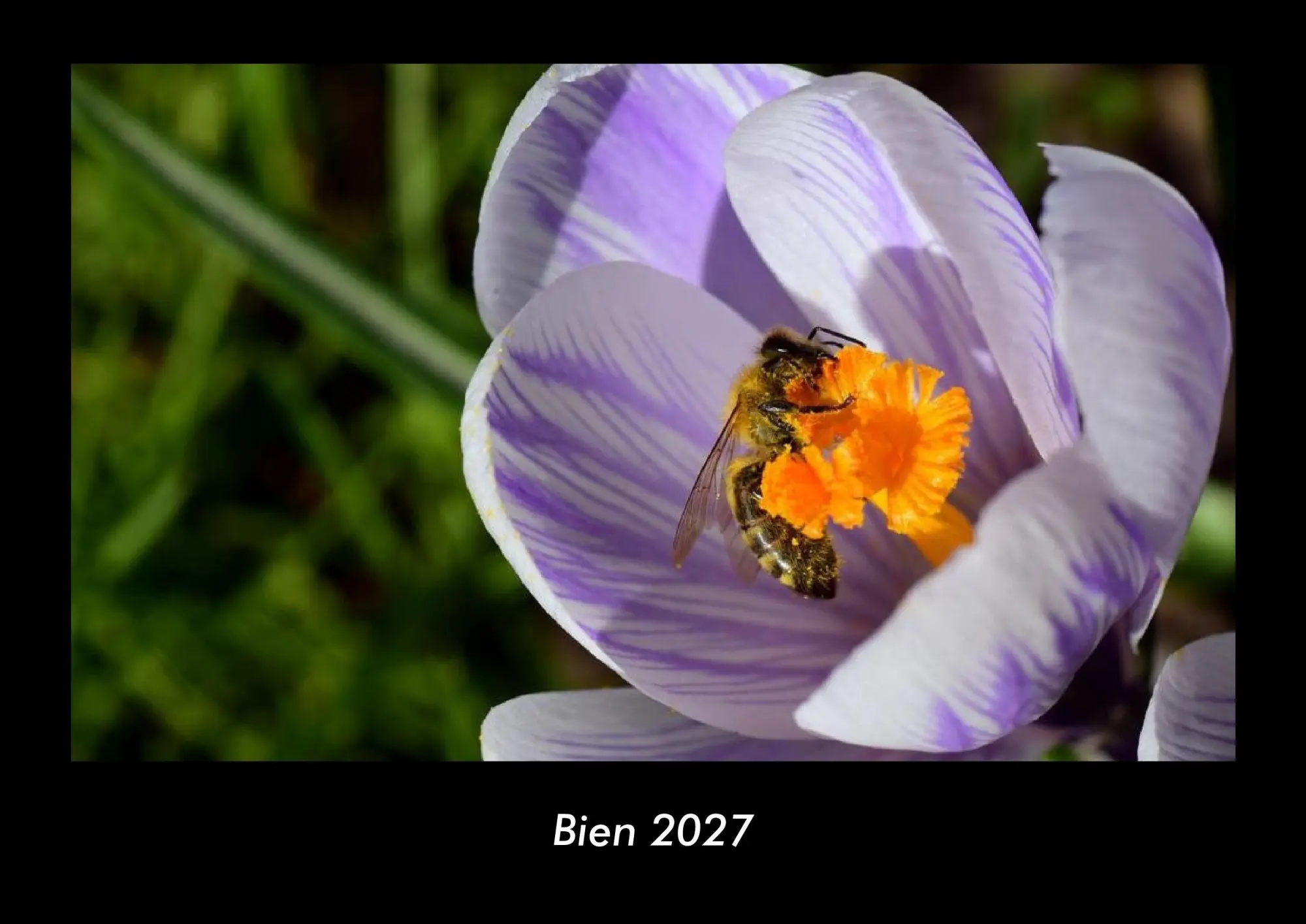 Cover: 9783695444038 | Bien 2027 Fotokalender DIN A3 | Tobias Becker | Kalender | Deutsch