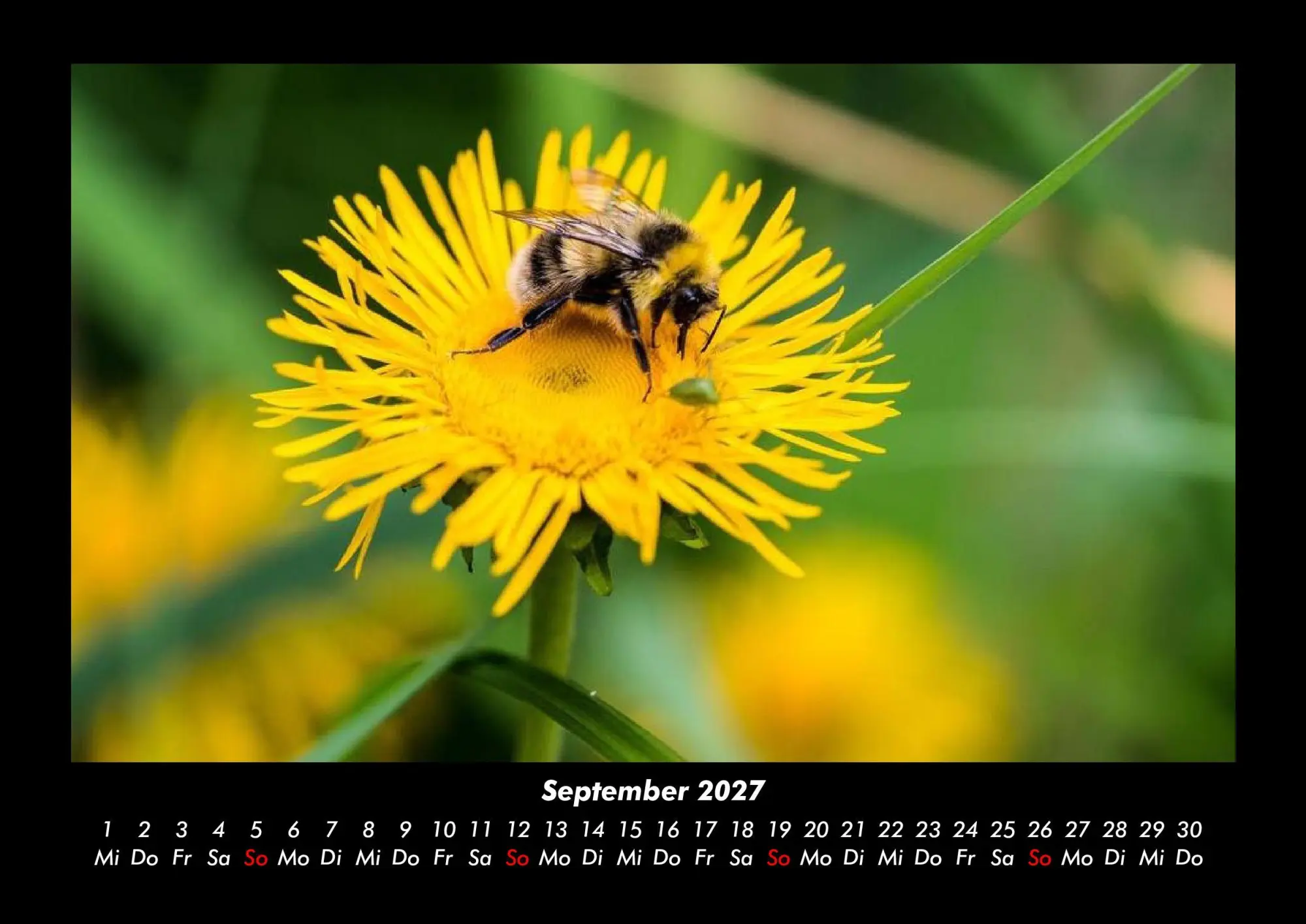 Bild: 9783695444038 | Bien 2027 Fotokalender DIN A3 | Tobias Becker | Kalender | Deutsch