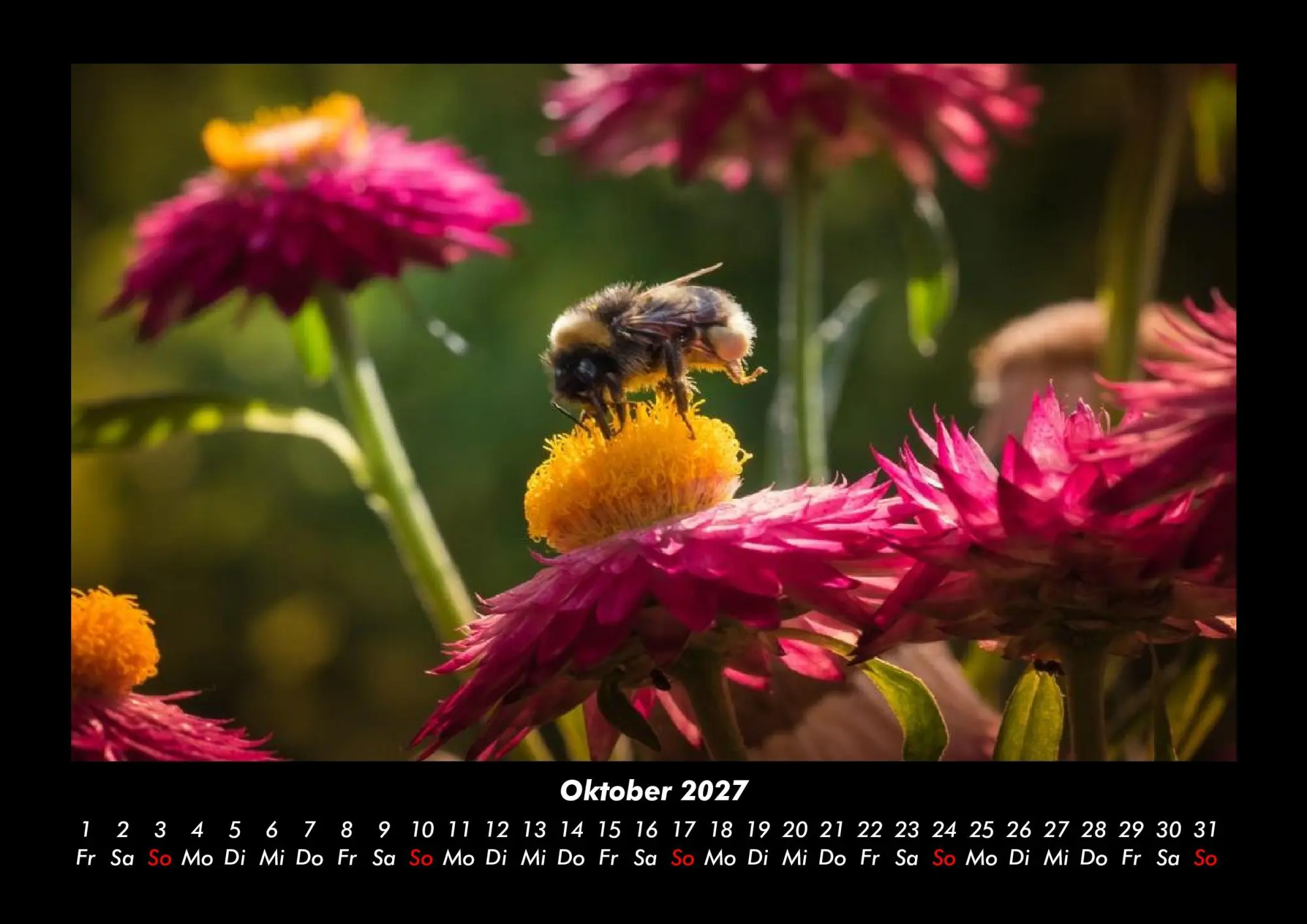 Bild: 9783695444038 | Bien 2027 Fotokalender DIN A3 | Tobias Becker | Kalender | Deutsch