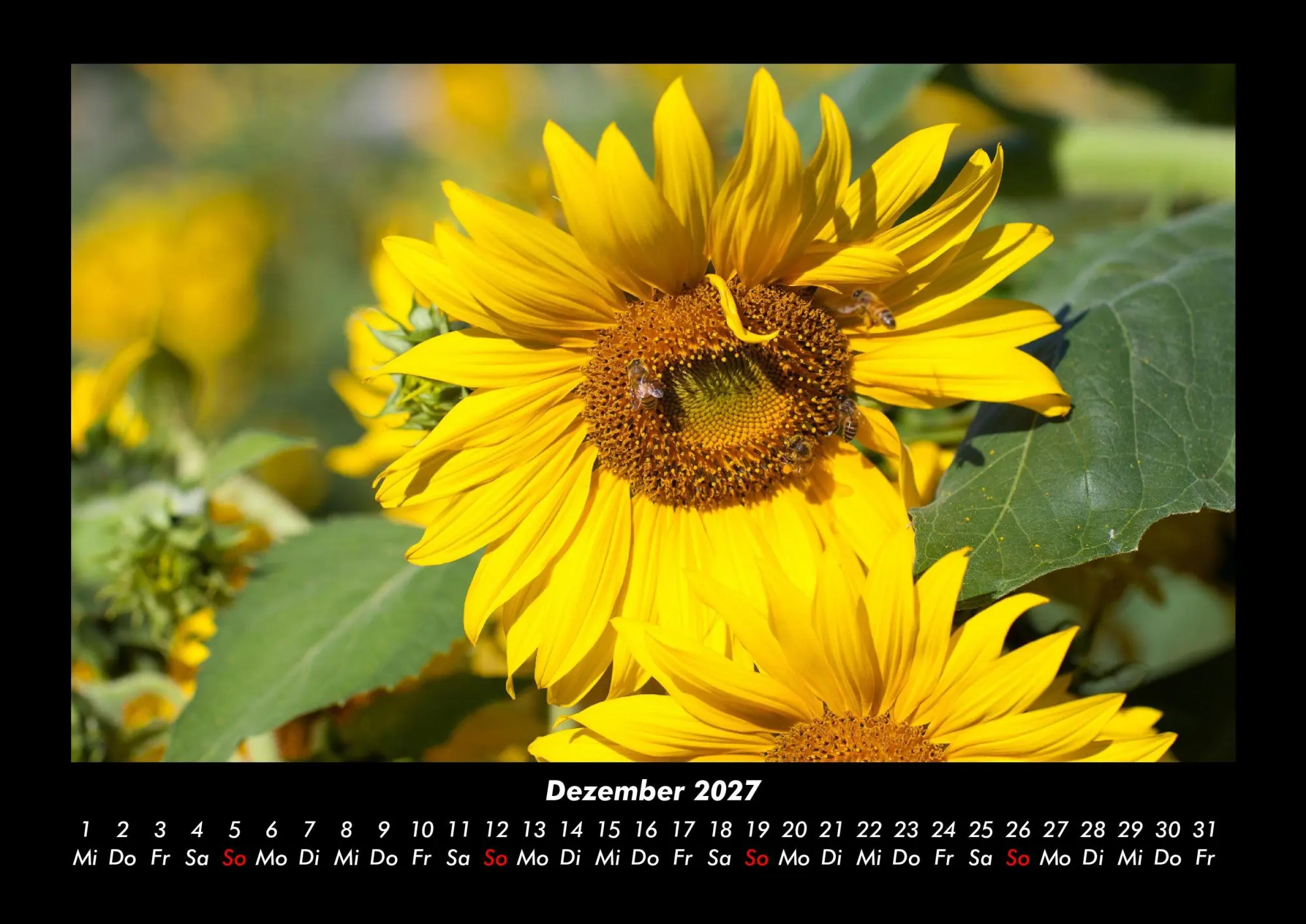 Bild: 9783695444038 | Bien 2027 Fotokalender DIN A3 | Tobias Becker | Kalender | Deutsch