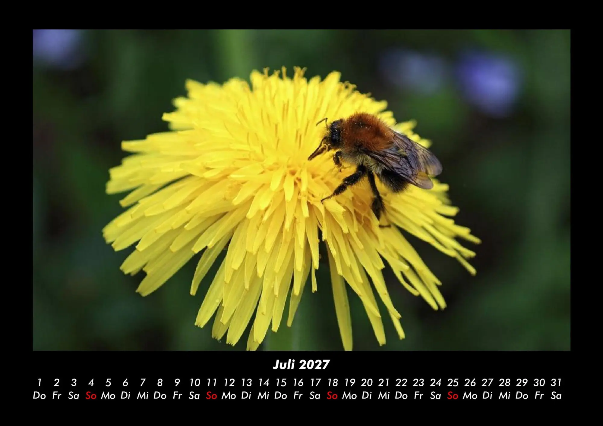 Bild: 9783695444038 | Bien 2027 Fotokalender DIN A3 | Tobias Becker | Kalender | Deutsch