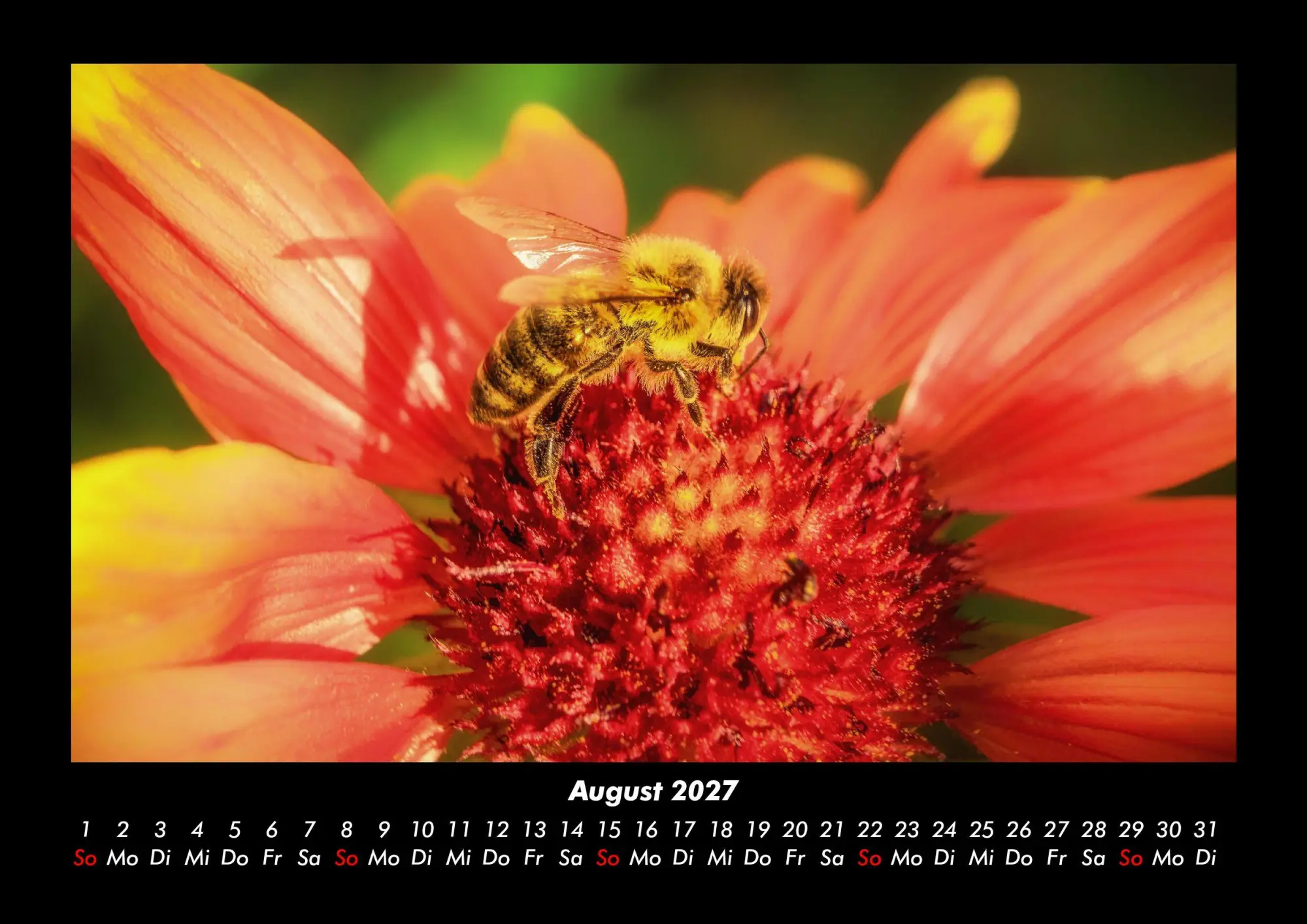 Bild: 9783695444038 | Bien 2027 Fotokalender DIN A3 | Tobias Becker | Kalender | Deutsch