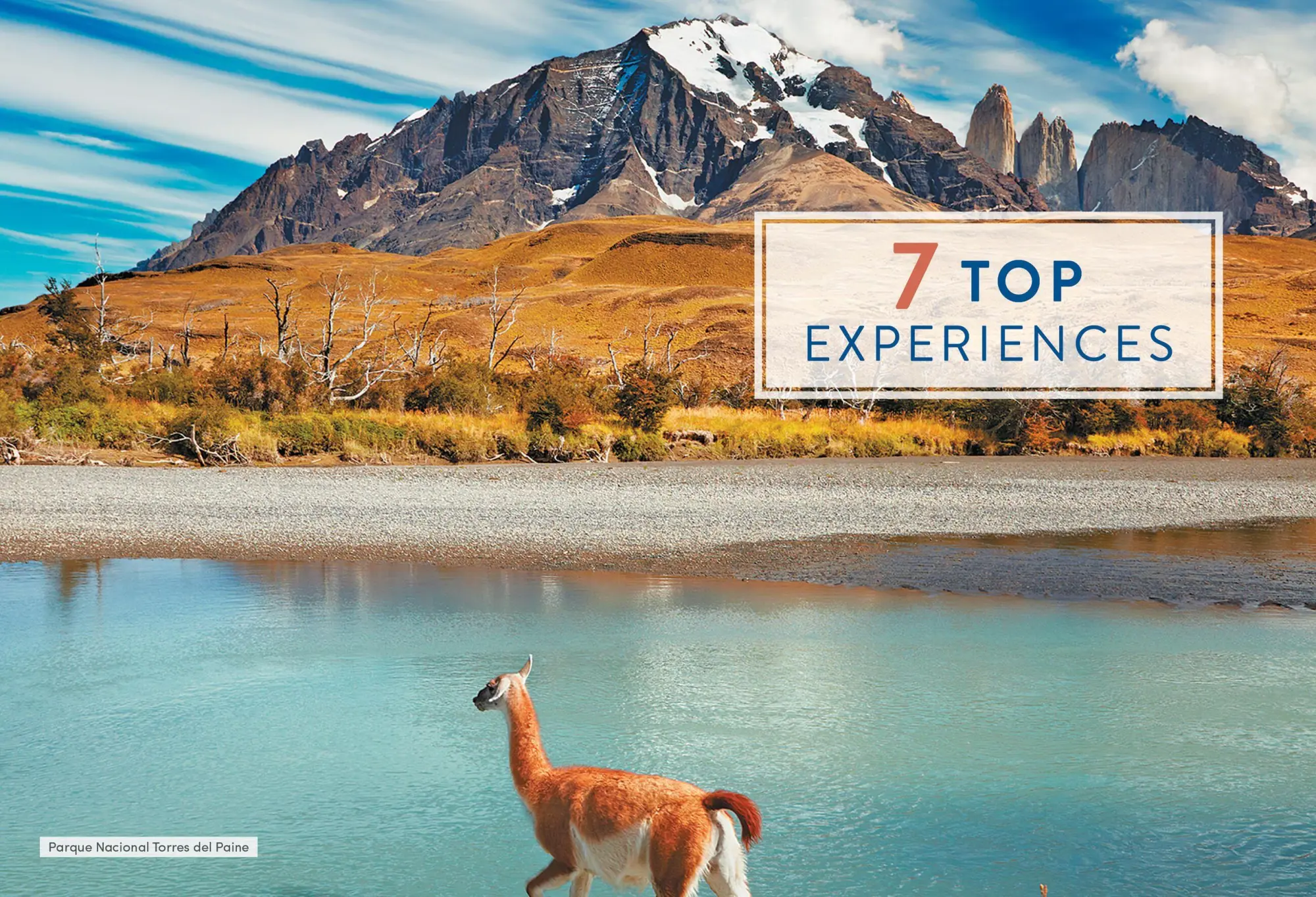 Bild: 9781640494138 | Moon Patagonia | Wayne Bernhardson (u. a.) | Taschenbuch | Moon Travel