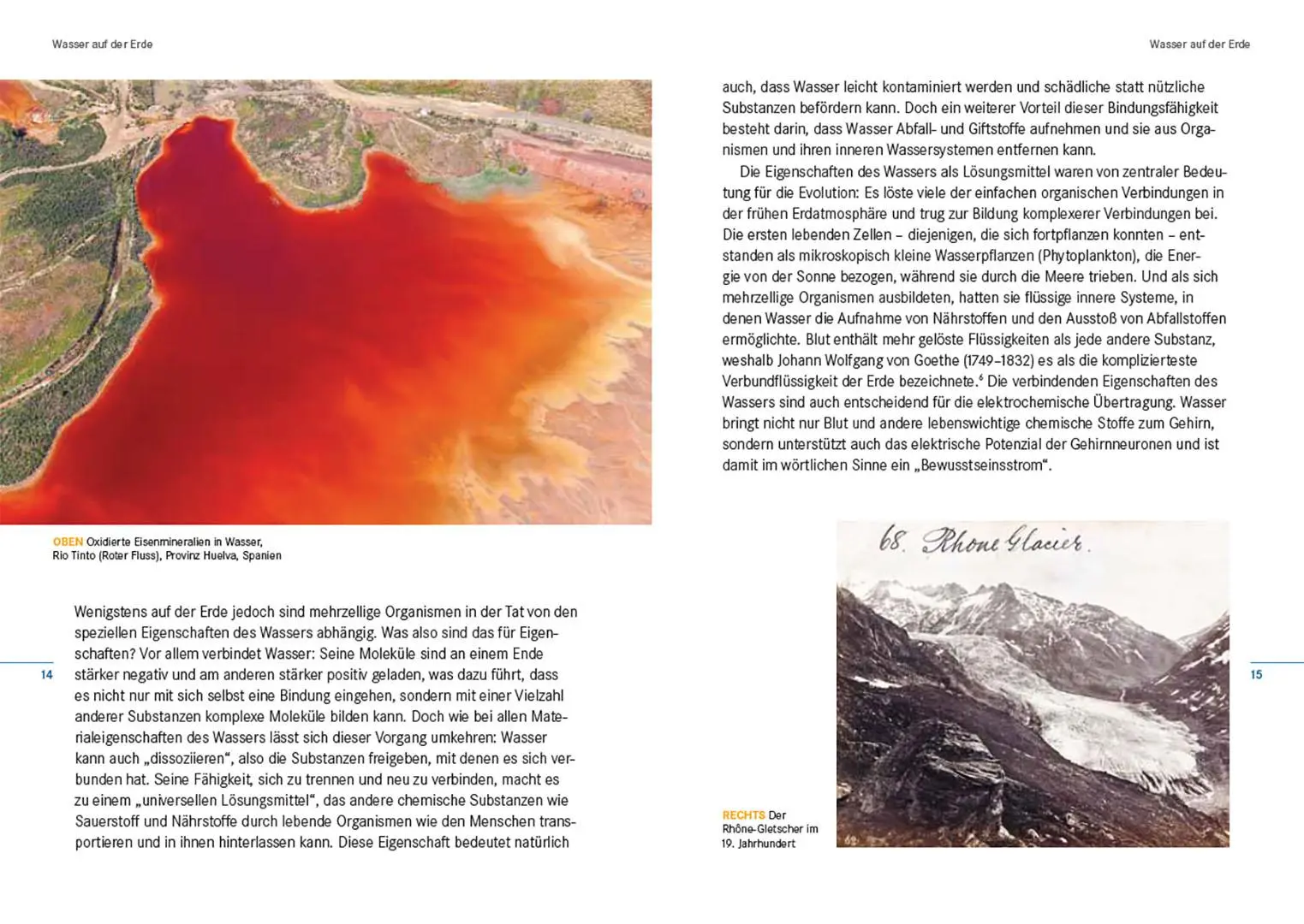Bild: 9783258084138 | Wasser | Eine Kultur- und Naturgeschichte | Veronica Strang | Buch