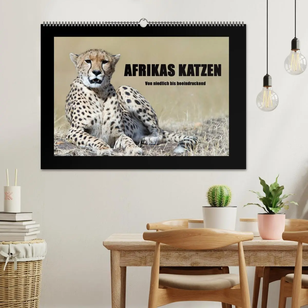 Bild: 9783516164138 | Afrikas Katzen (Wandkalender 2026 DIN A2 quer), CALVENDO...